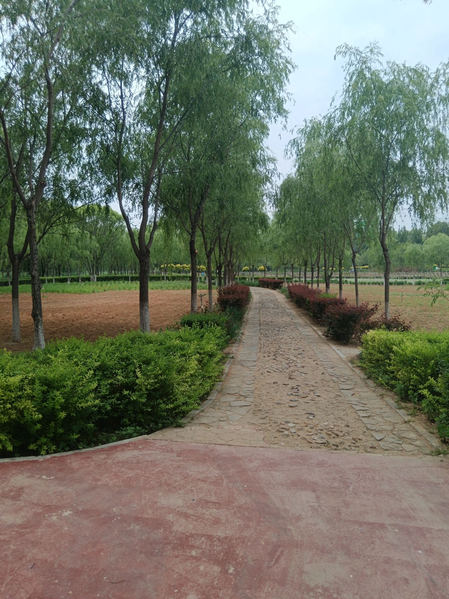 北票凉水河湿地旅游区旅行图片 3