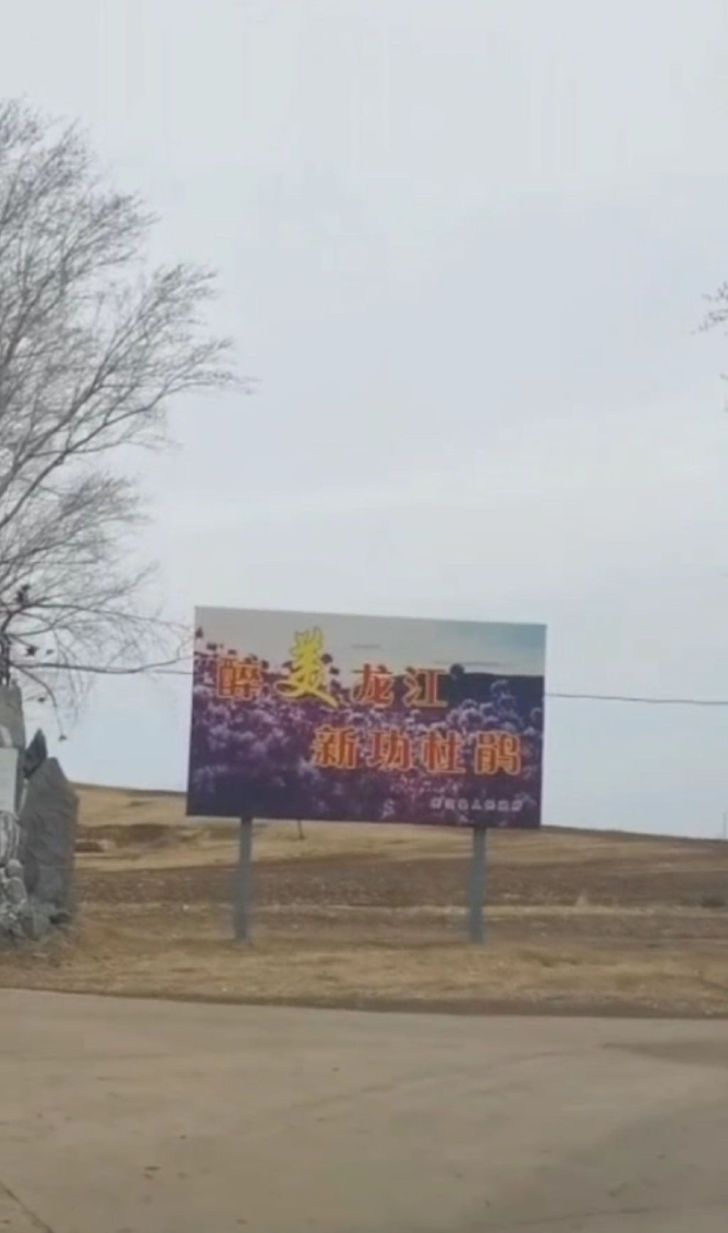杜鹃山风景区旅行图片 1