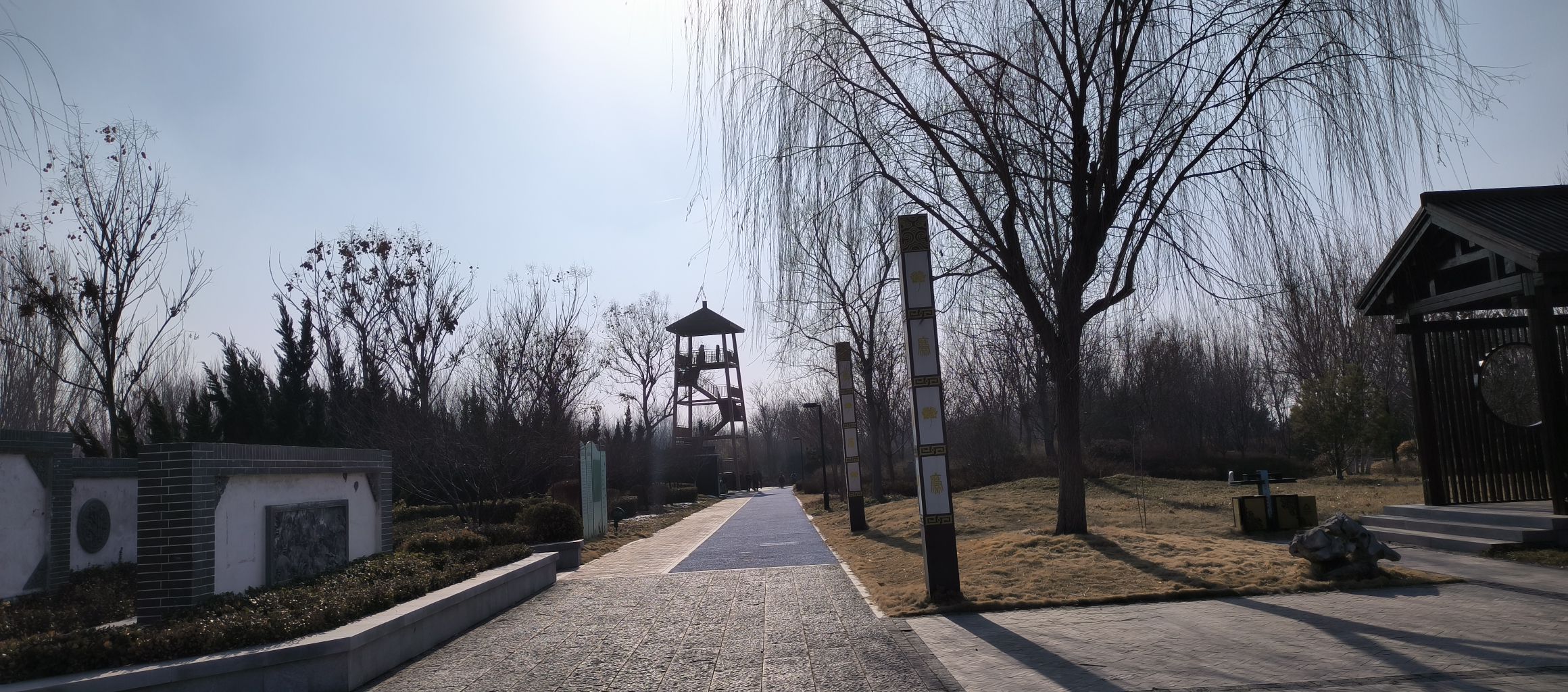 黄河古渡旅行图片 3