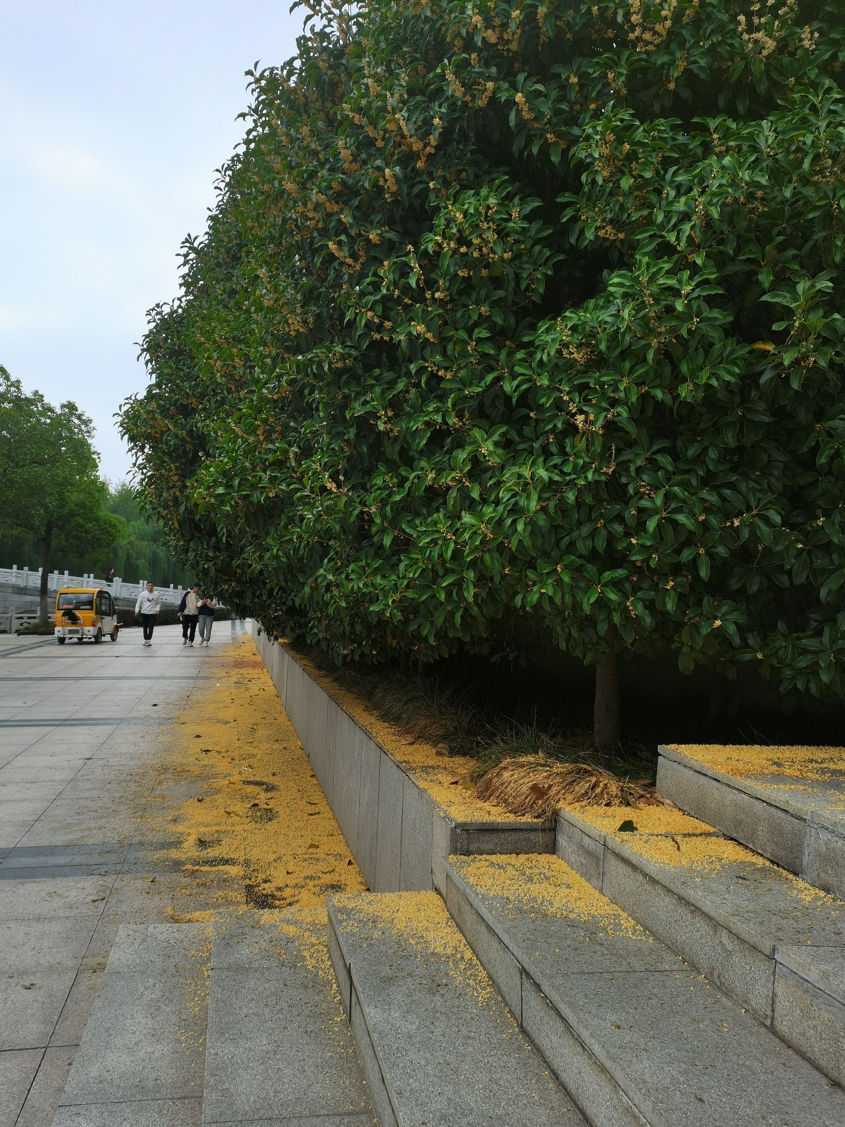 京东文体公园旅行图片 3