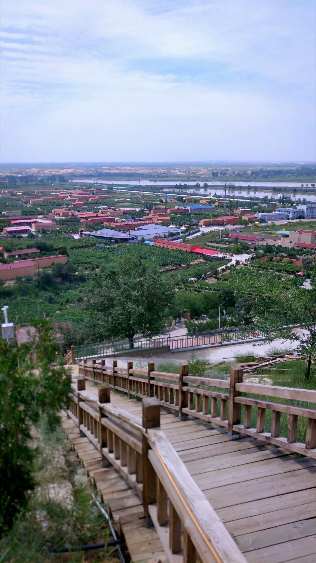 黄河印象玻璃观景台旅行图片 1