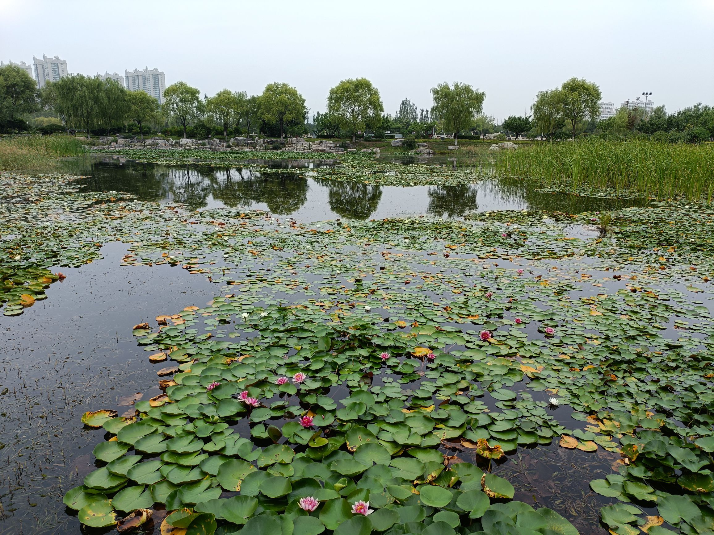 云中河水上公园旅行图片 2