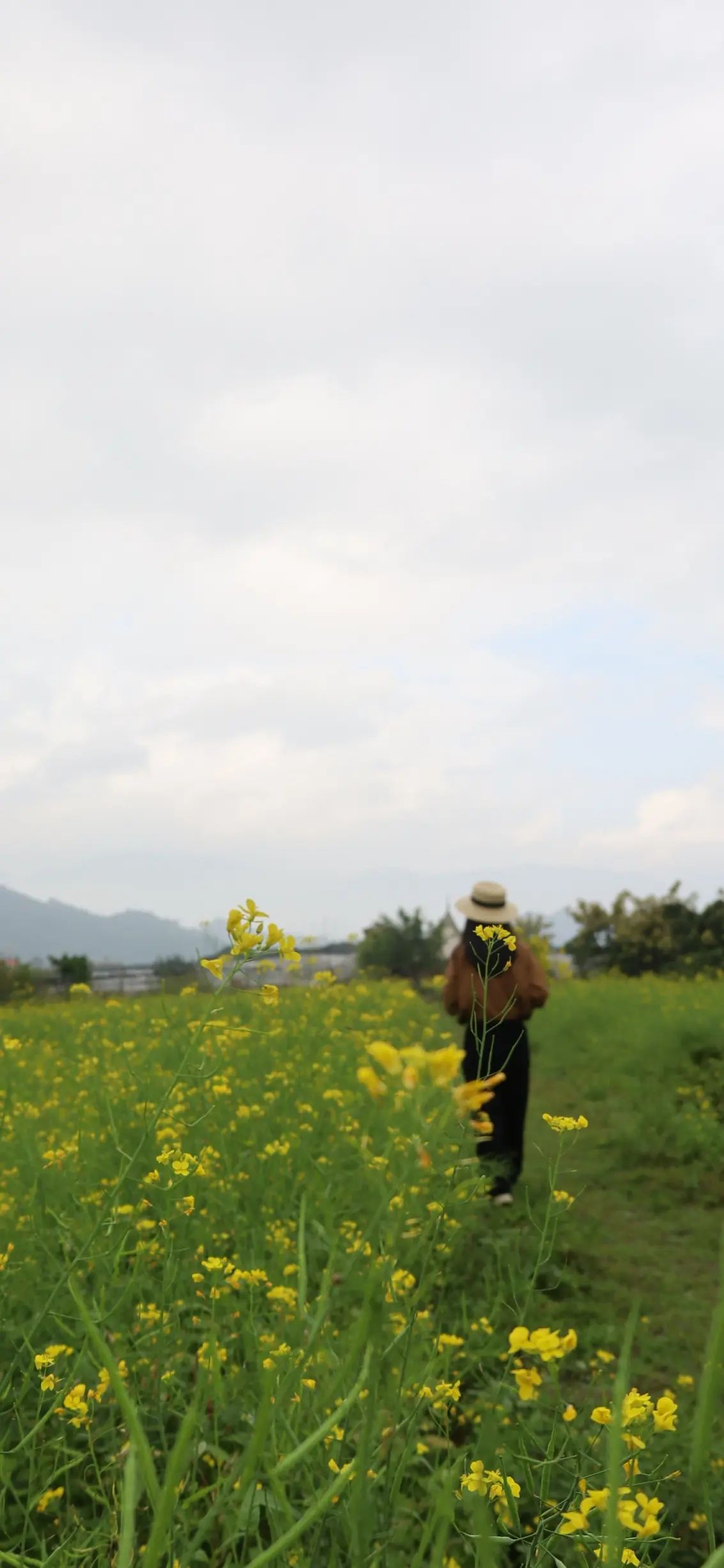丽田园景区旅行图片 1