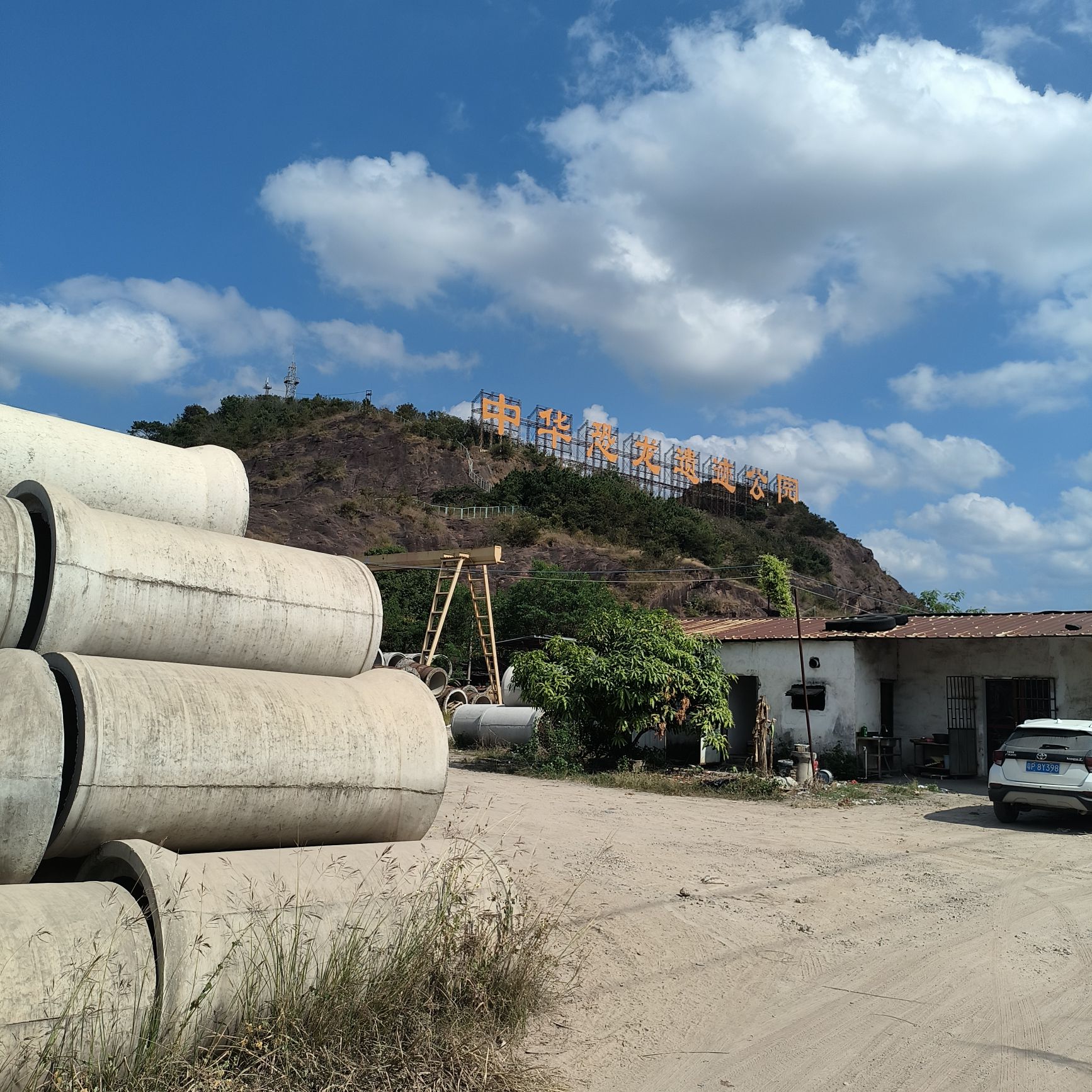 中华恐龙遗迹公园(建设中)旅行图片 1