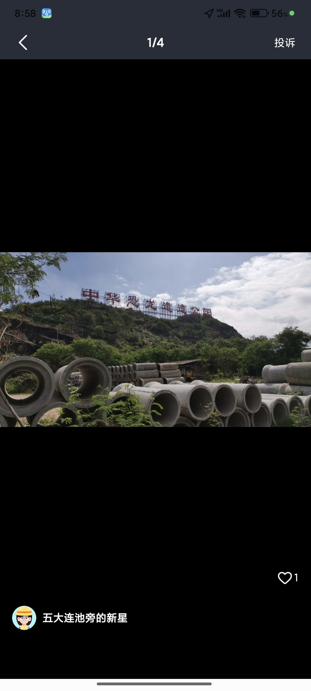 中华恐龙遗迹公园(建设中)旅行图片 3