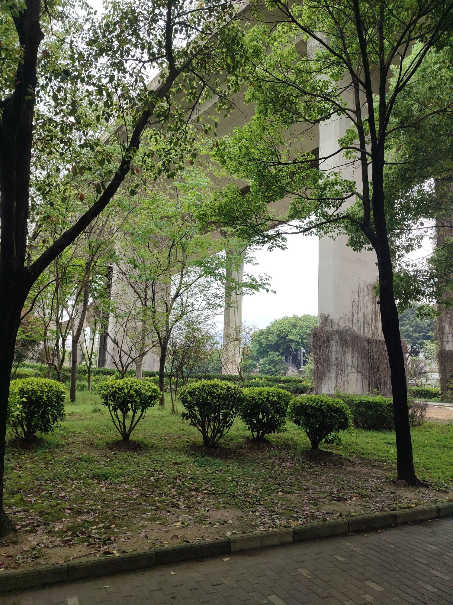 铁路主题公园旅行图片 2