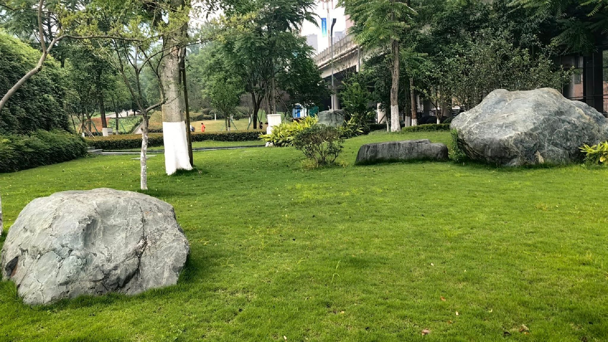 滨江湿地公园旅行图片 2