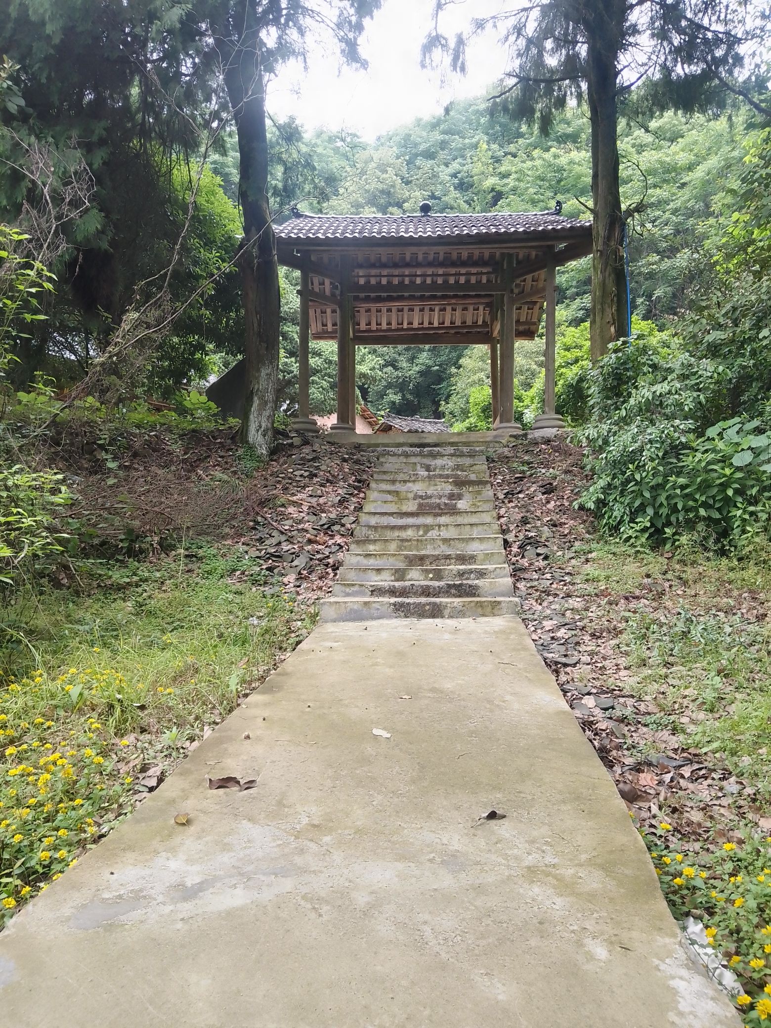 通仙观旅行图片 1