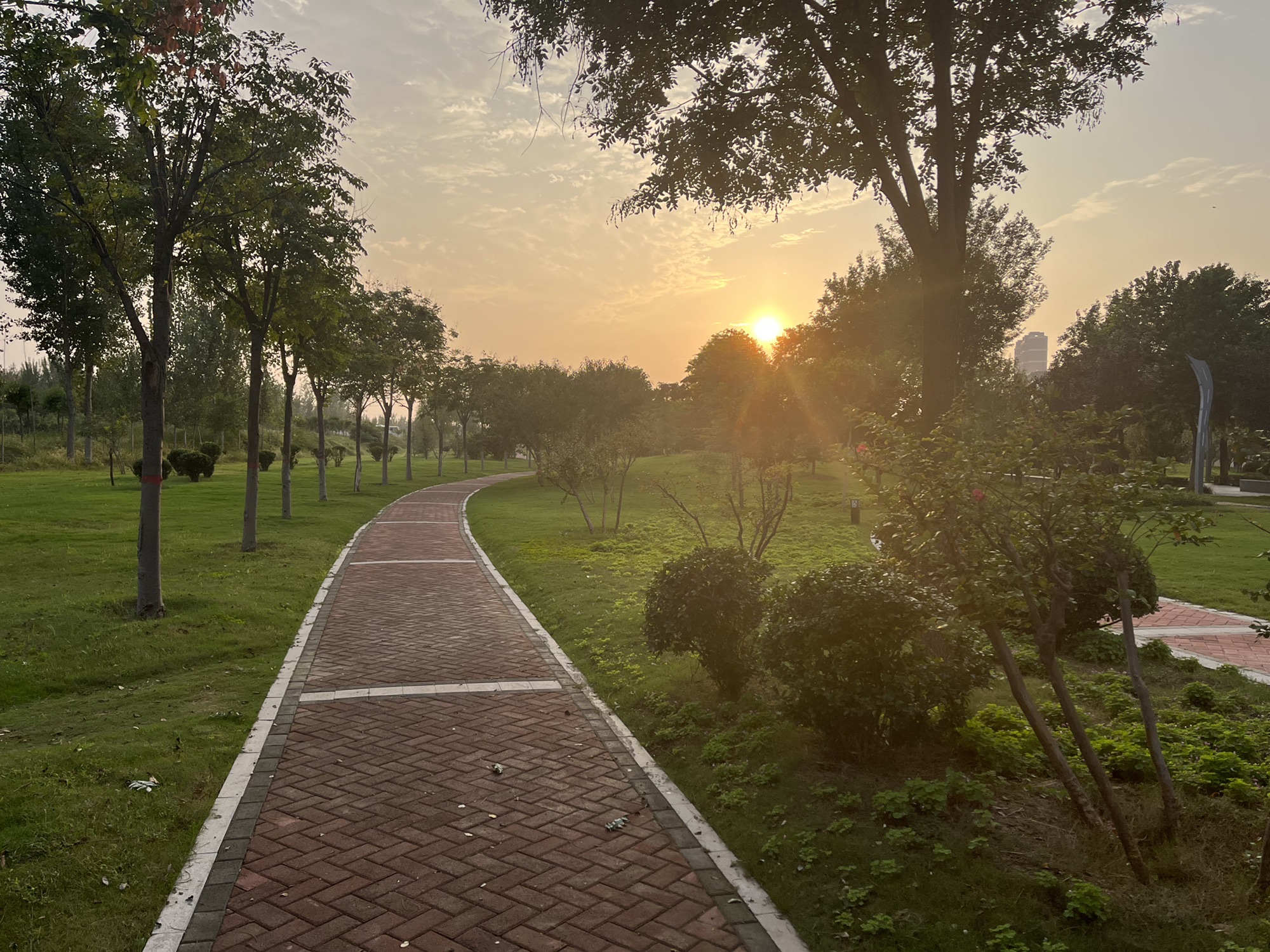 梧桐郡怡馨园公园旅行图片 2
