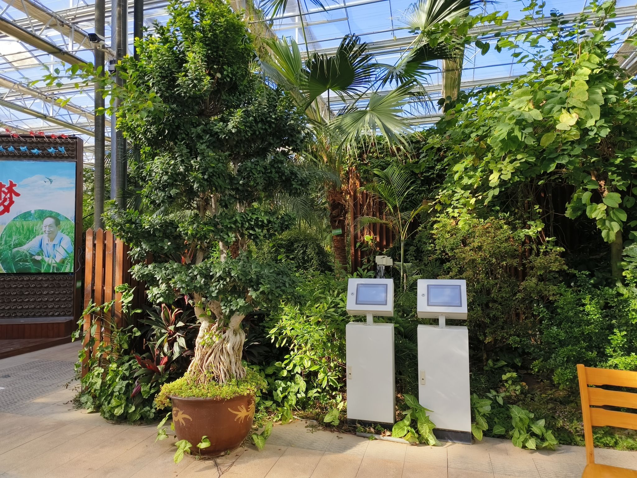 梨花小镇植物博览园旅行图片 1