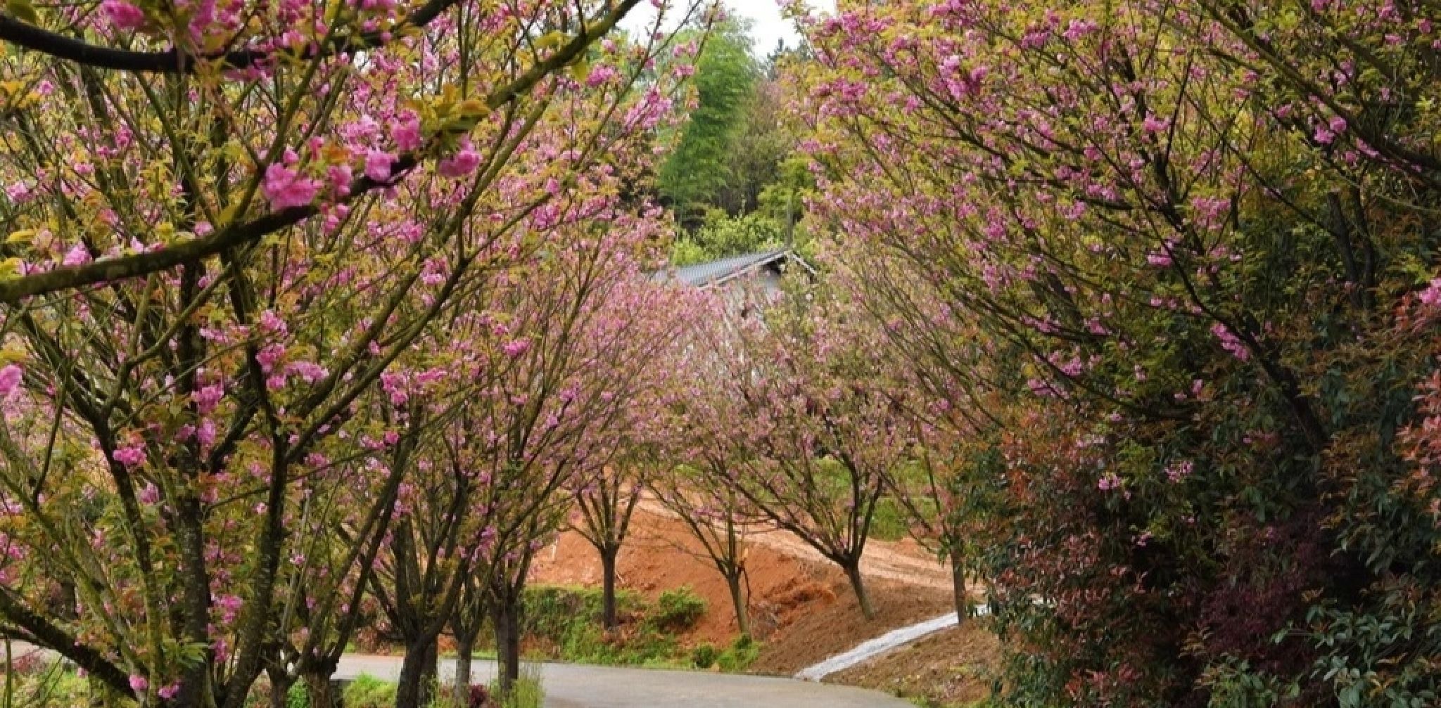 太公山景区旅行图片 1