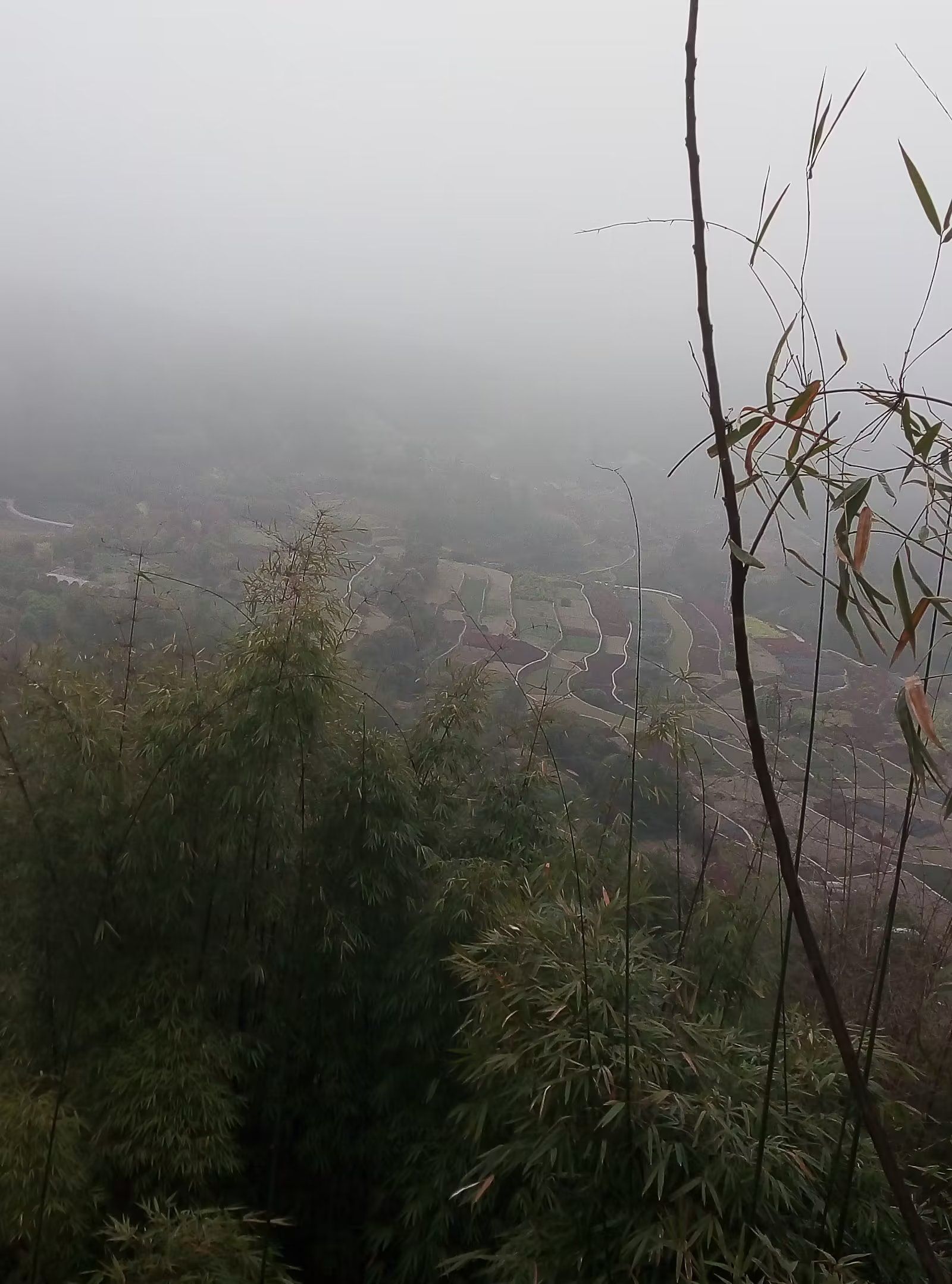 太公山景区旅行图片 1