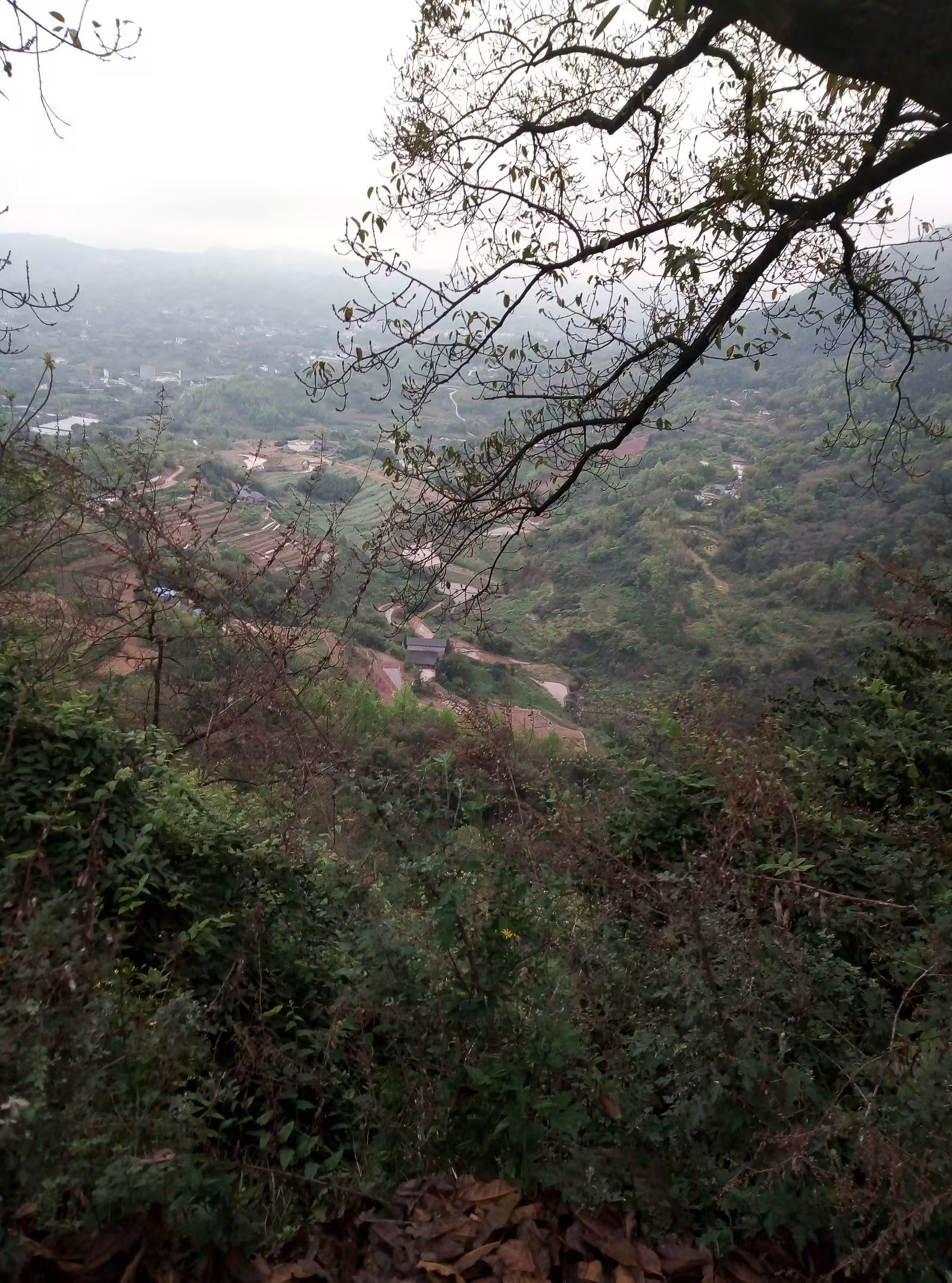 太公山景区旅行图片 3
