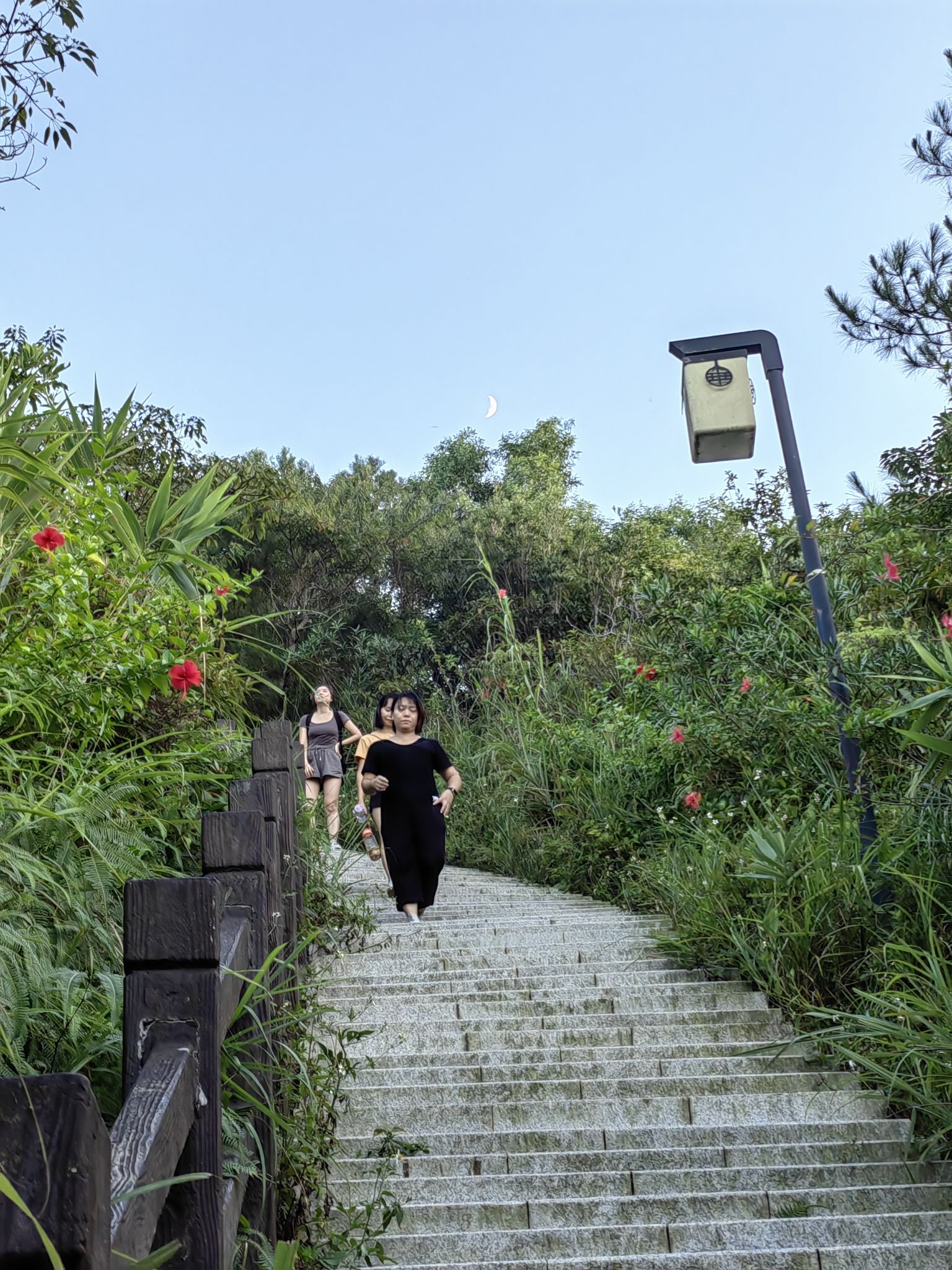 寨场山森林公园旅行图片 3