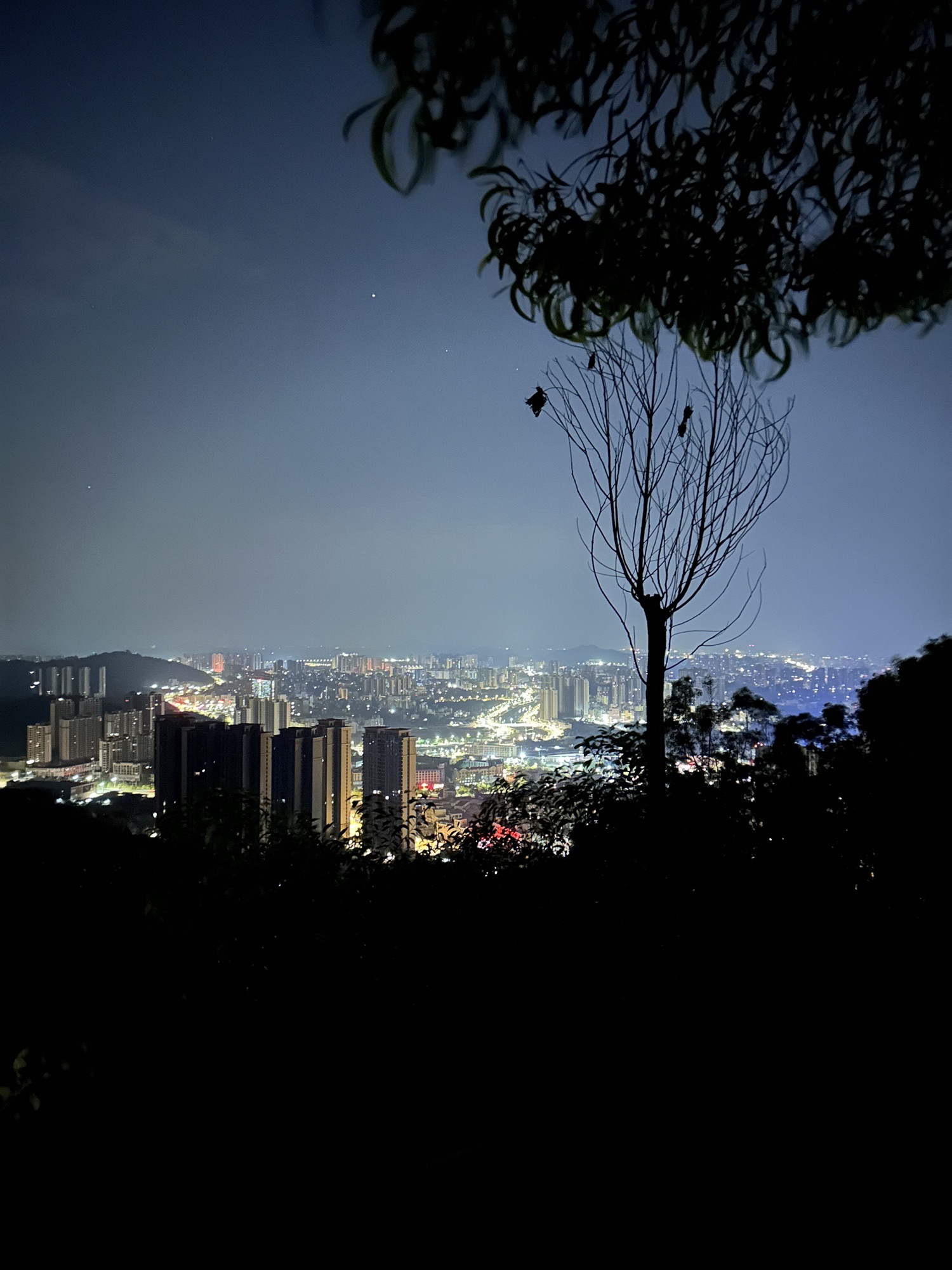 寨场山森林公园旅行图片 2