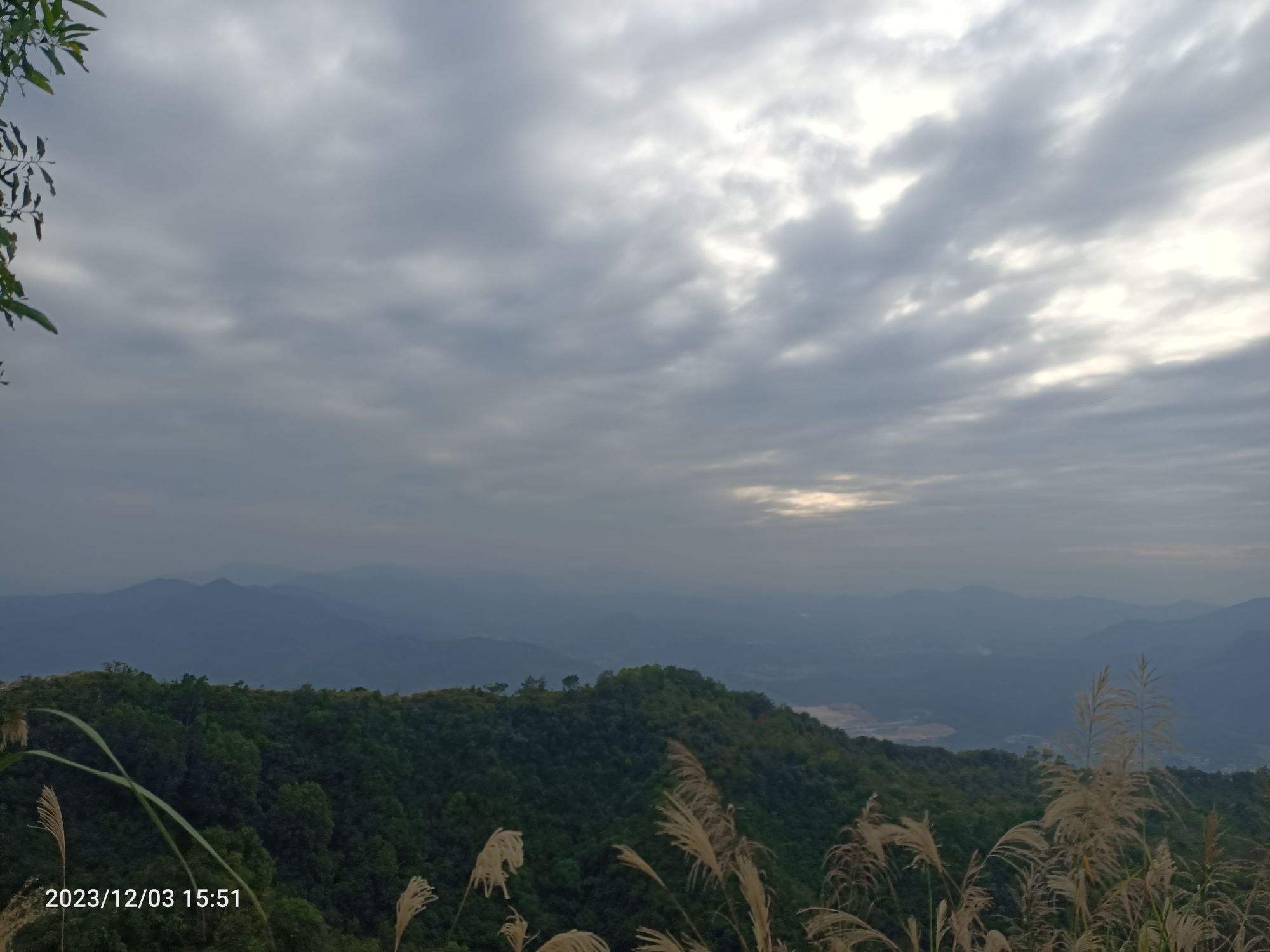 寨场山森林公园旅行图片 1
