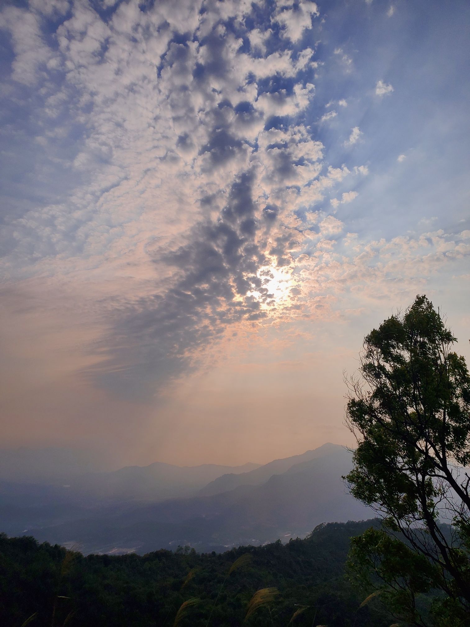 寨场山森林公园旅行图片 1