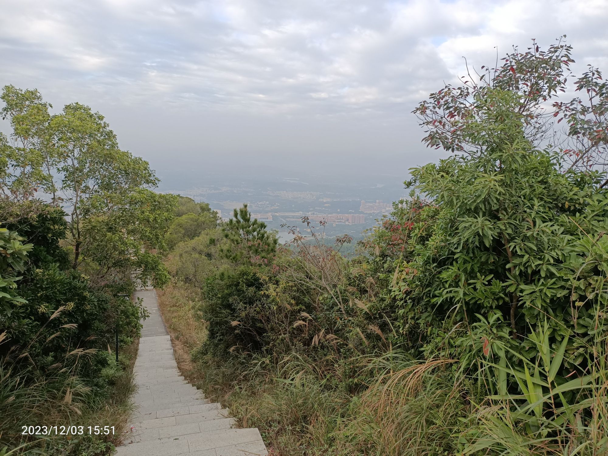 寨场山森林公园旅行图片 2