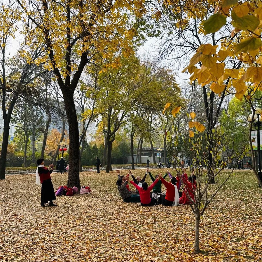 复兴河公园旅行图片 1