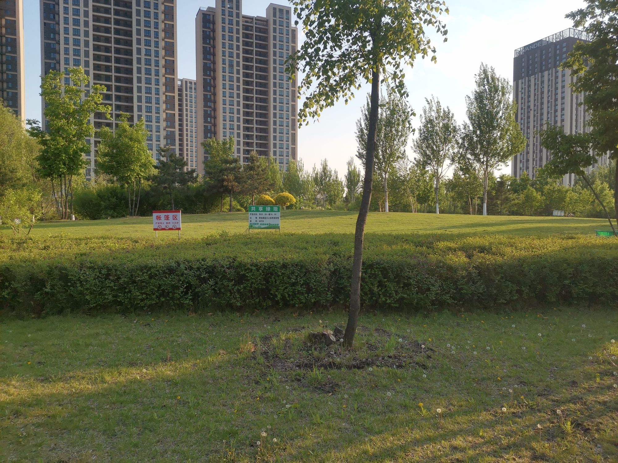 哈尔滨新区航天公园旅行图片 3
