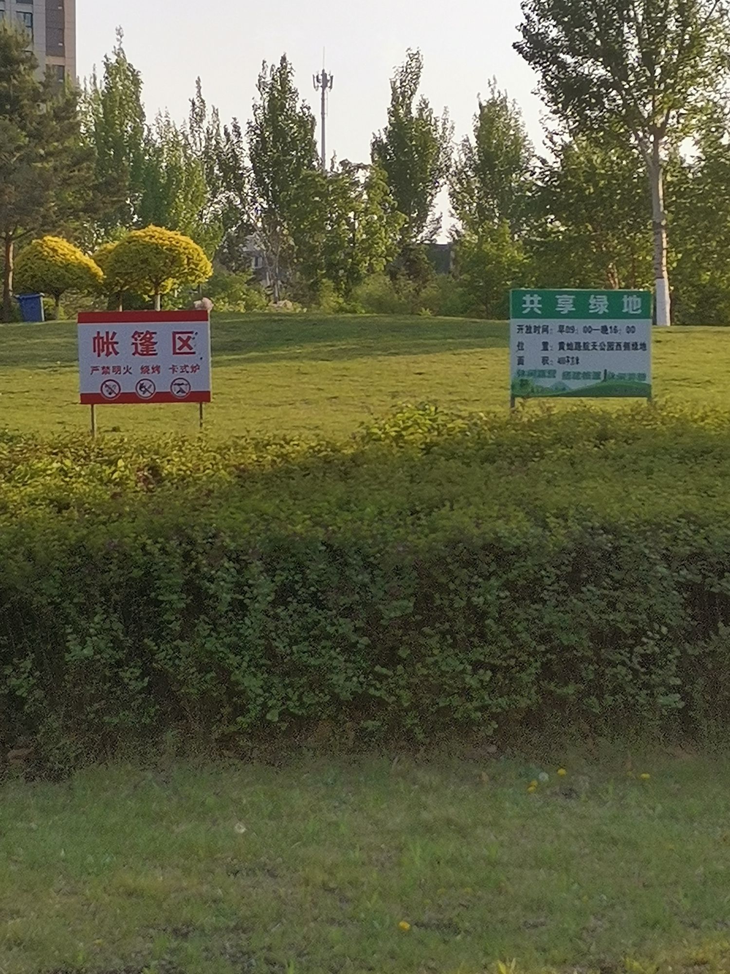 哈尔滨新区航天公园旅行图片 2