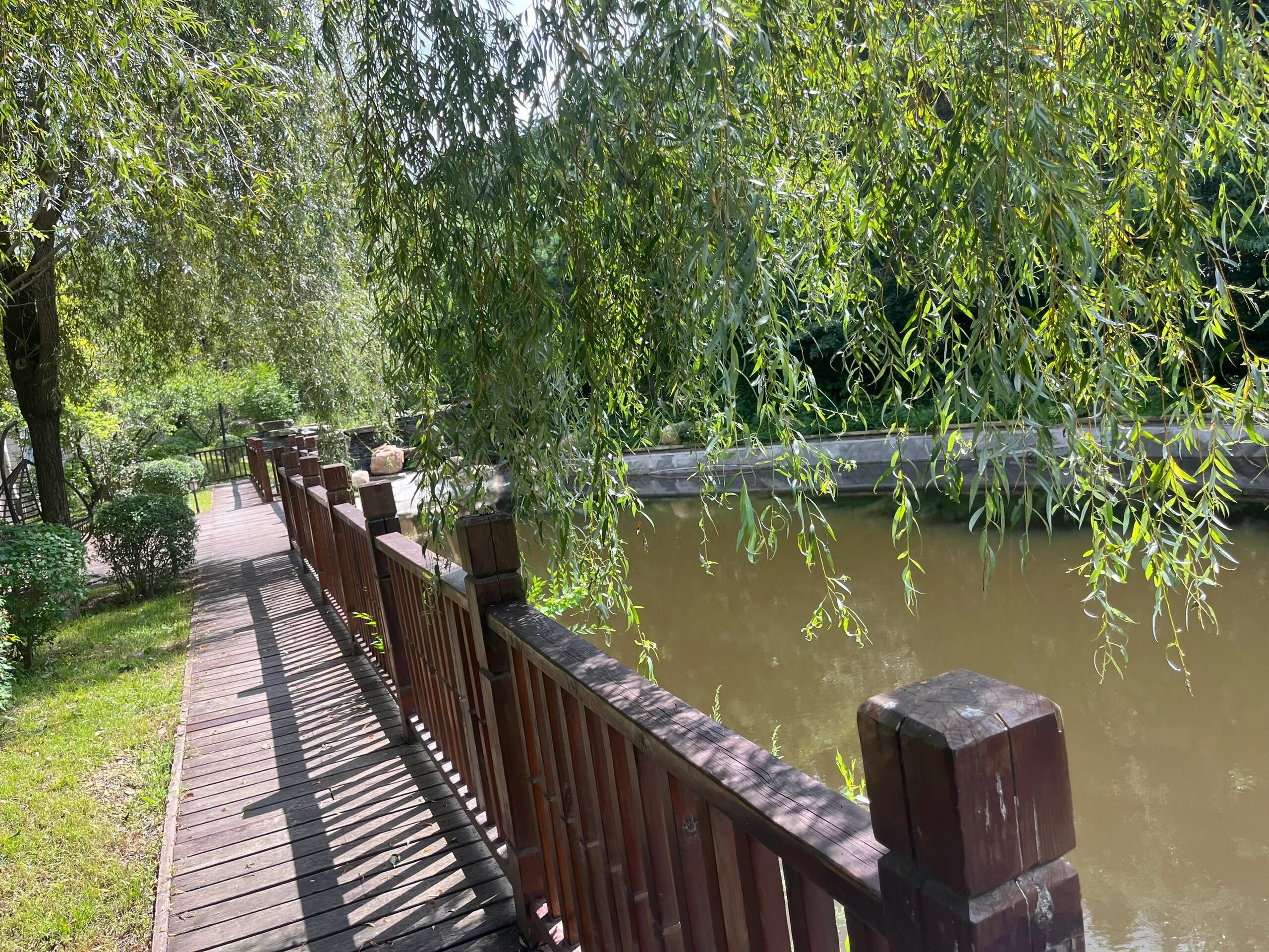 国信南山温泉旅行图片 2