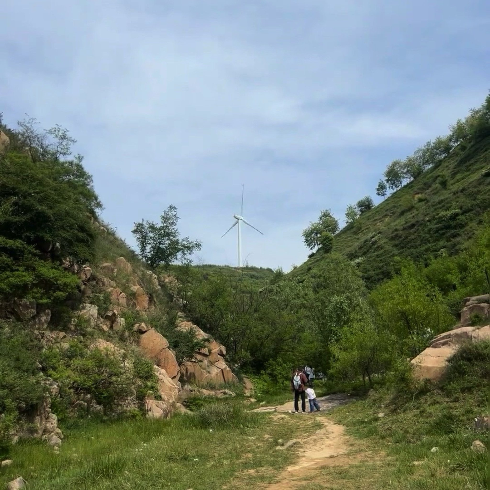 九龙山风景区旅行图片