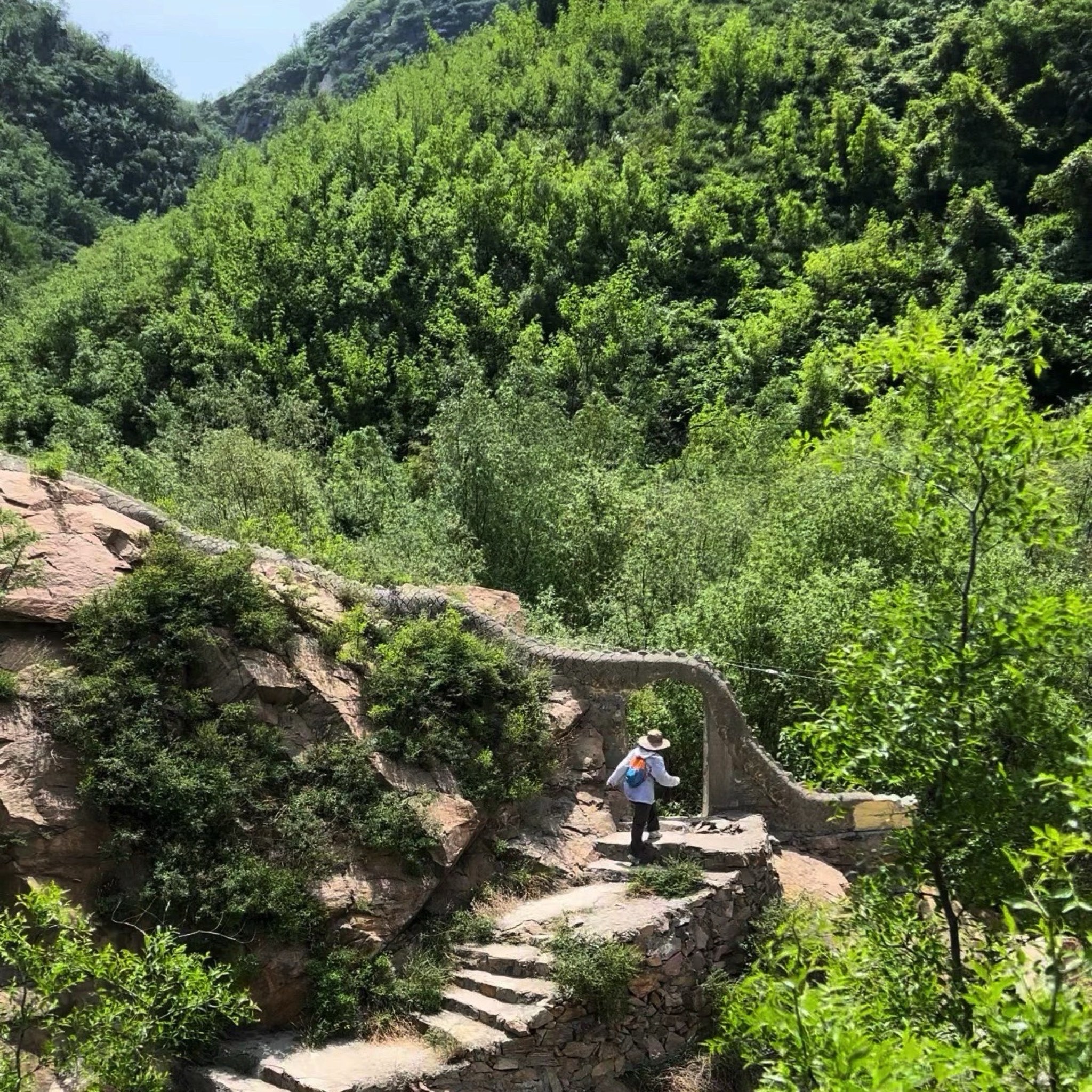九龙山风景区旅行图片 3