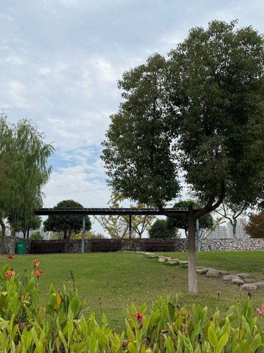 青龙山公园旅行图片 3