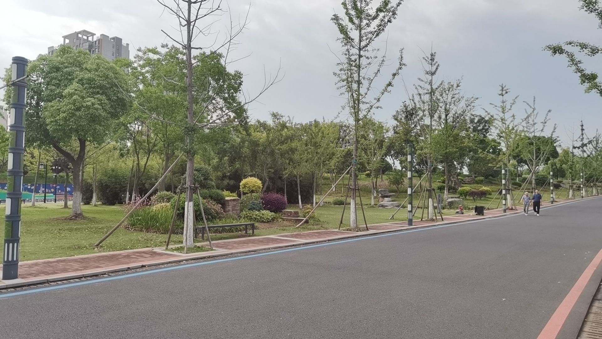 青龙山公园旅行图片 3