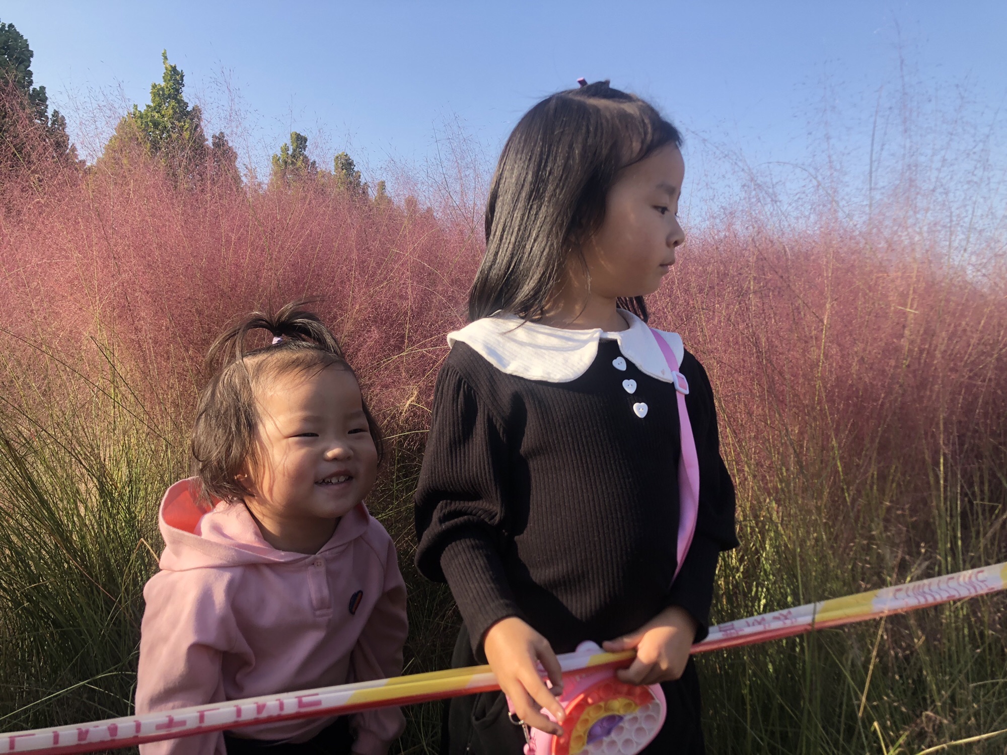 容城县花海公园旅行图片 2