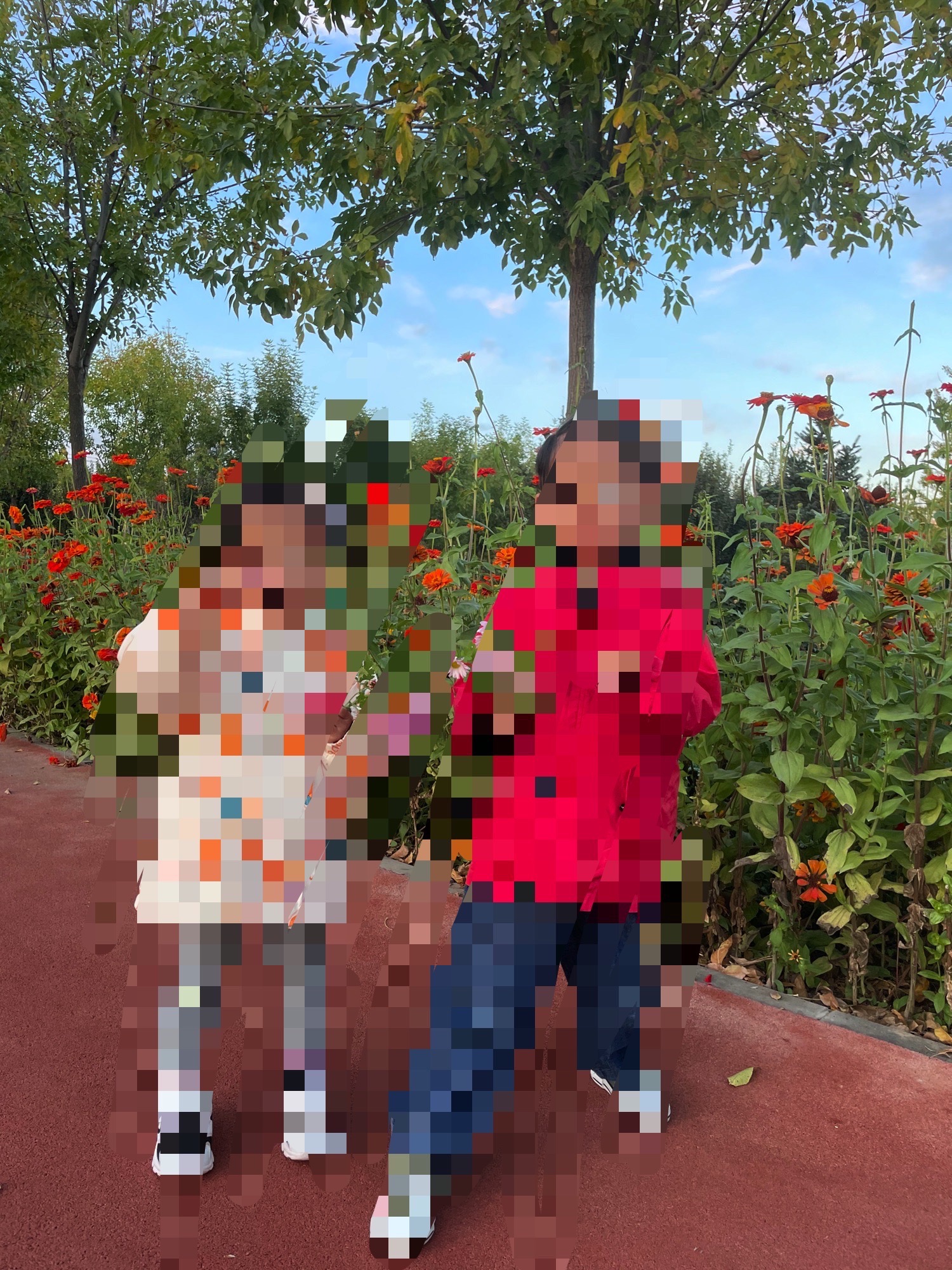 容城县花海公园旅行图片 2