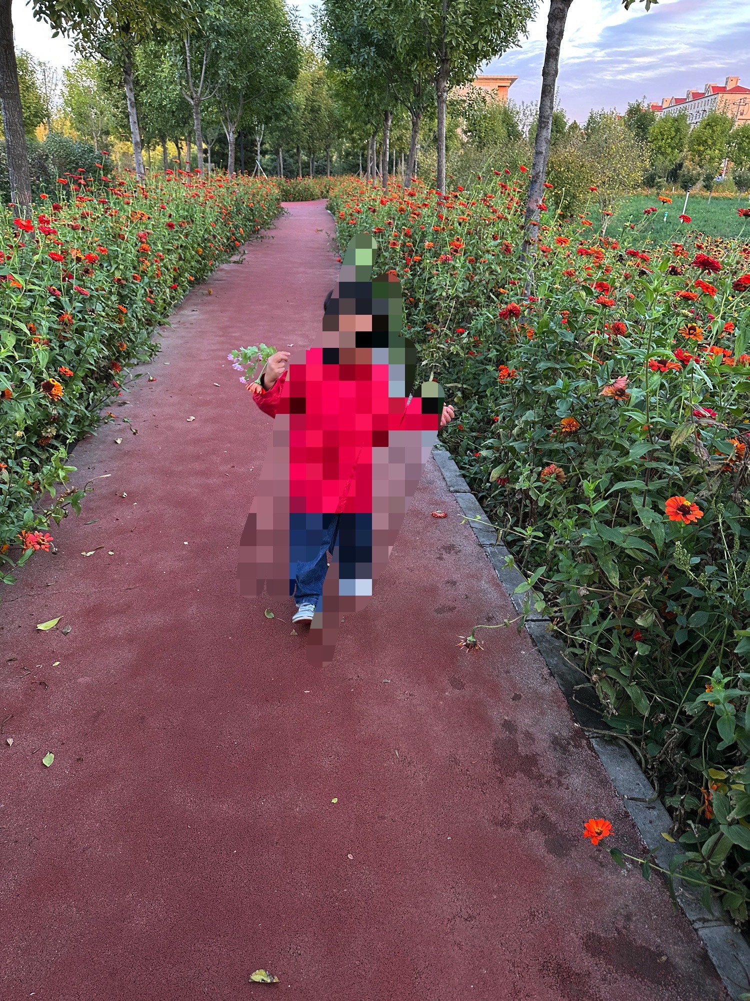 容城县花海公园旅行图片 3