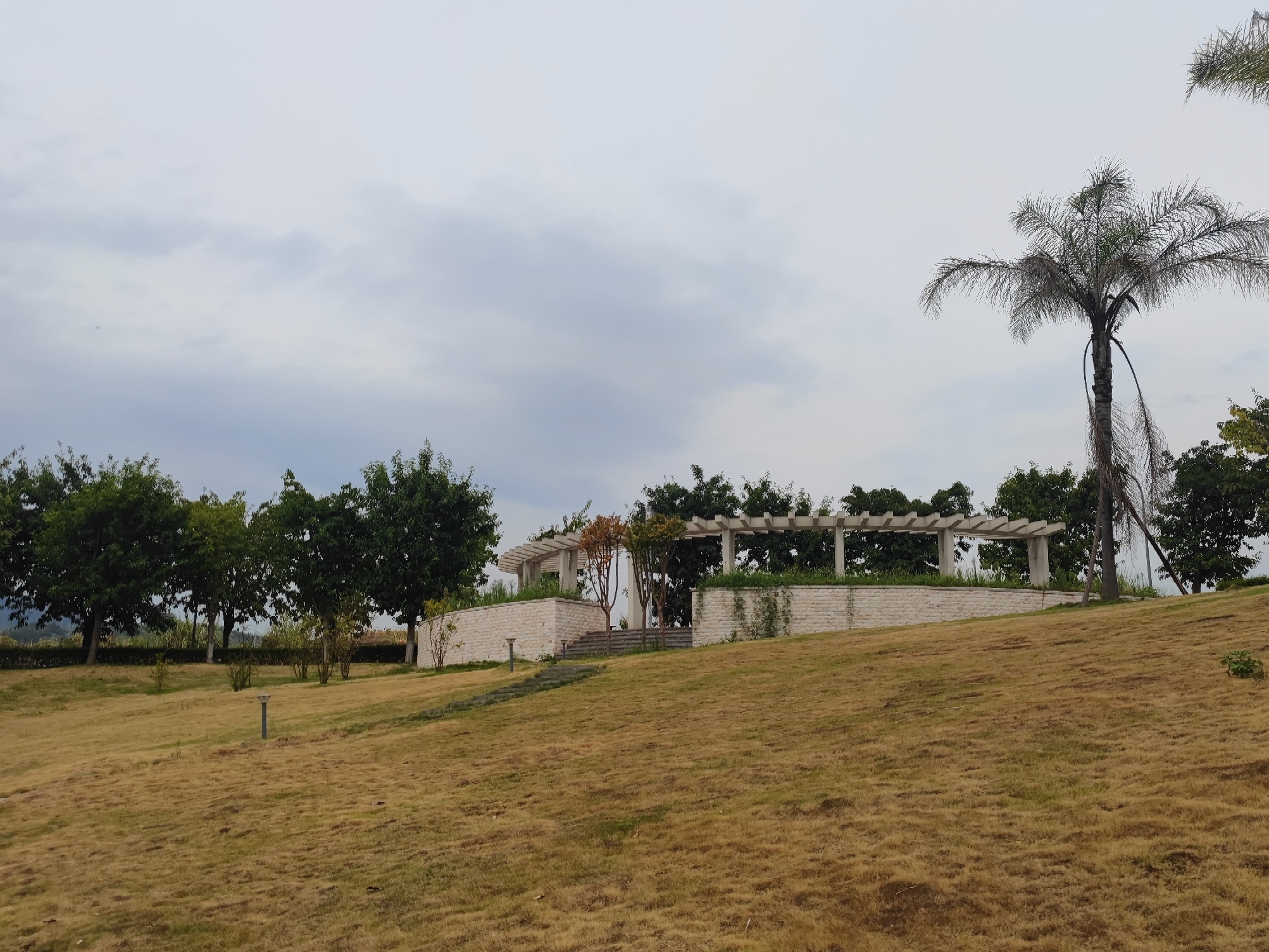 高峰湿地公园旅行图片 3