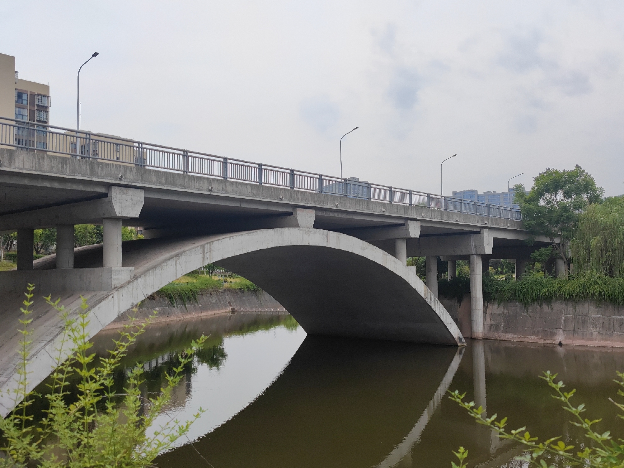 高峰湿地公园旅行图片 2