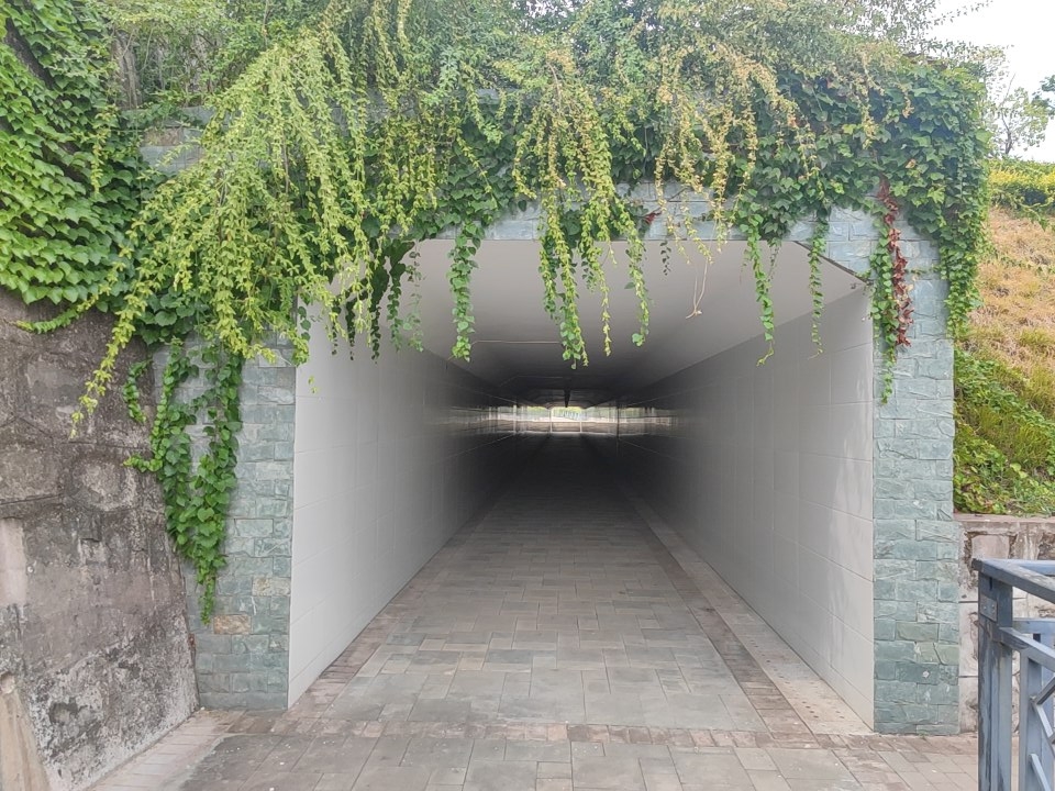 高峰湿地公园旅行图片 1