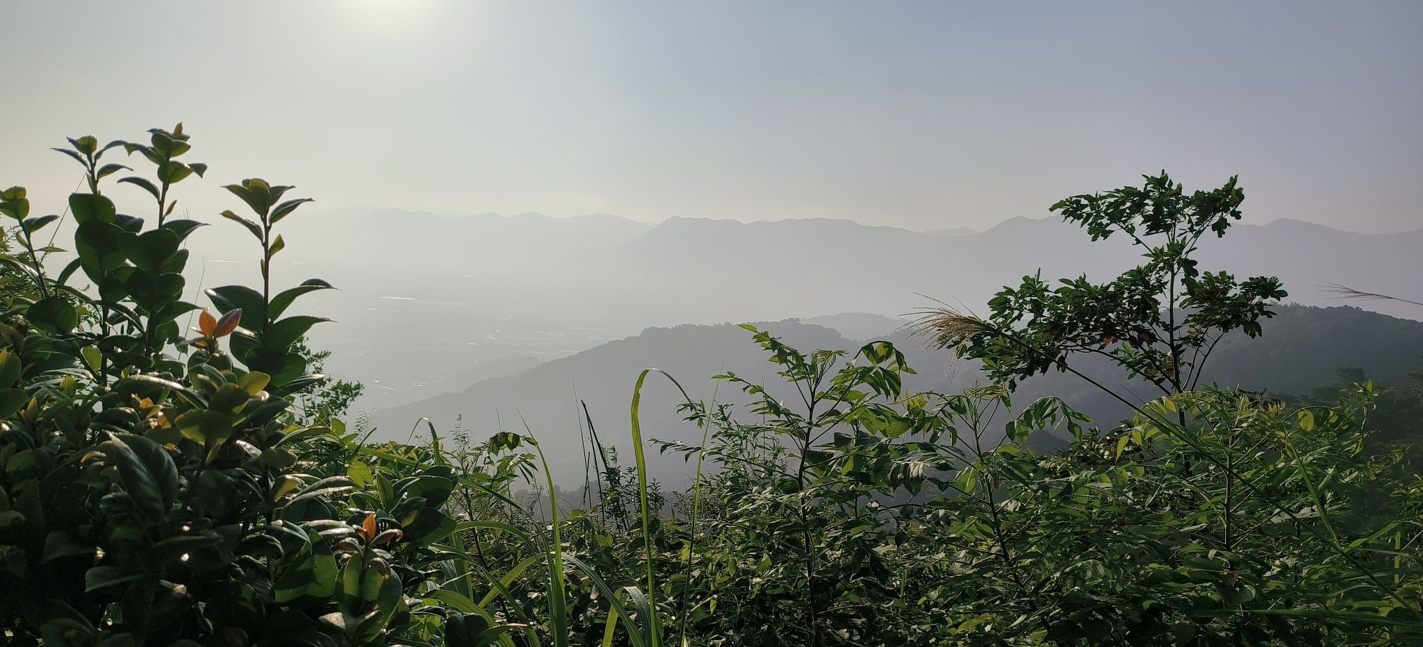 南山塔(瑞峰塔)旅行图片 2