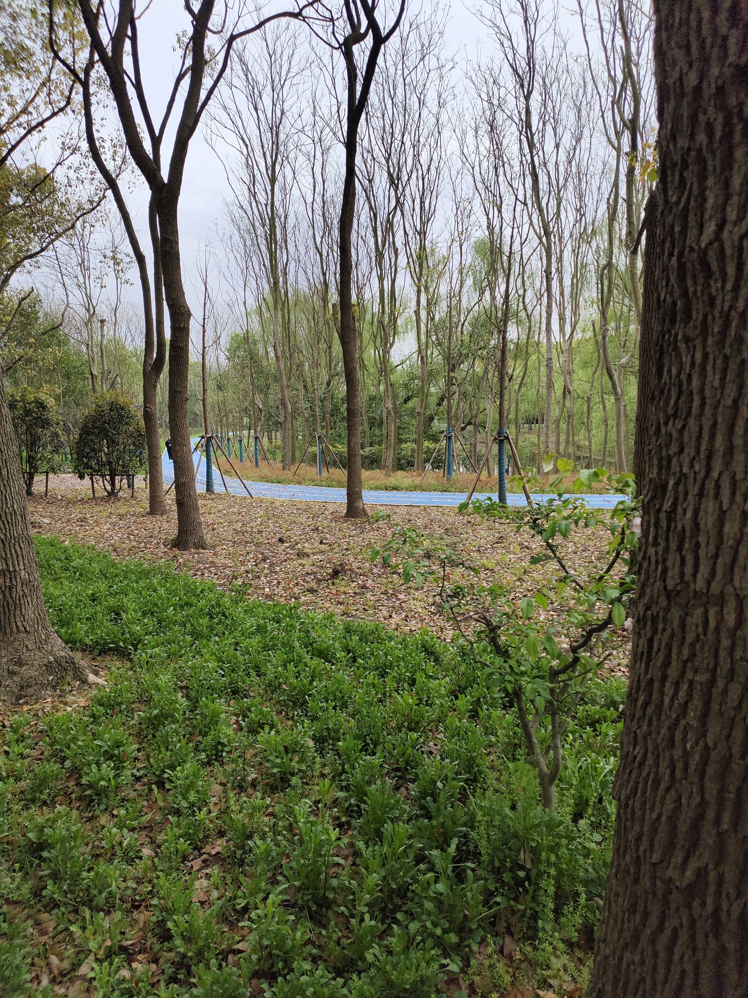 唐镇公园旅行图片 2