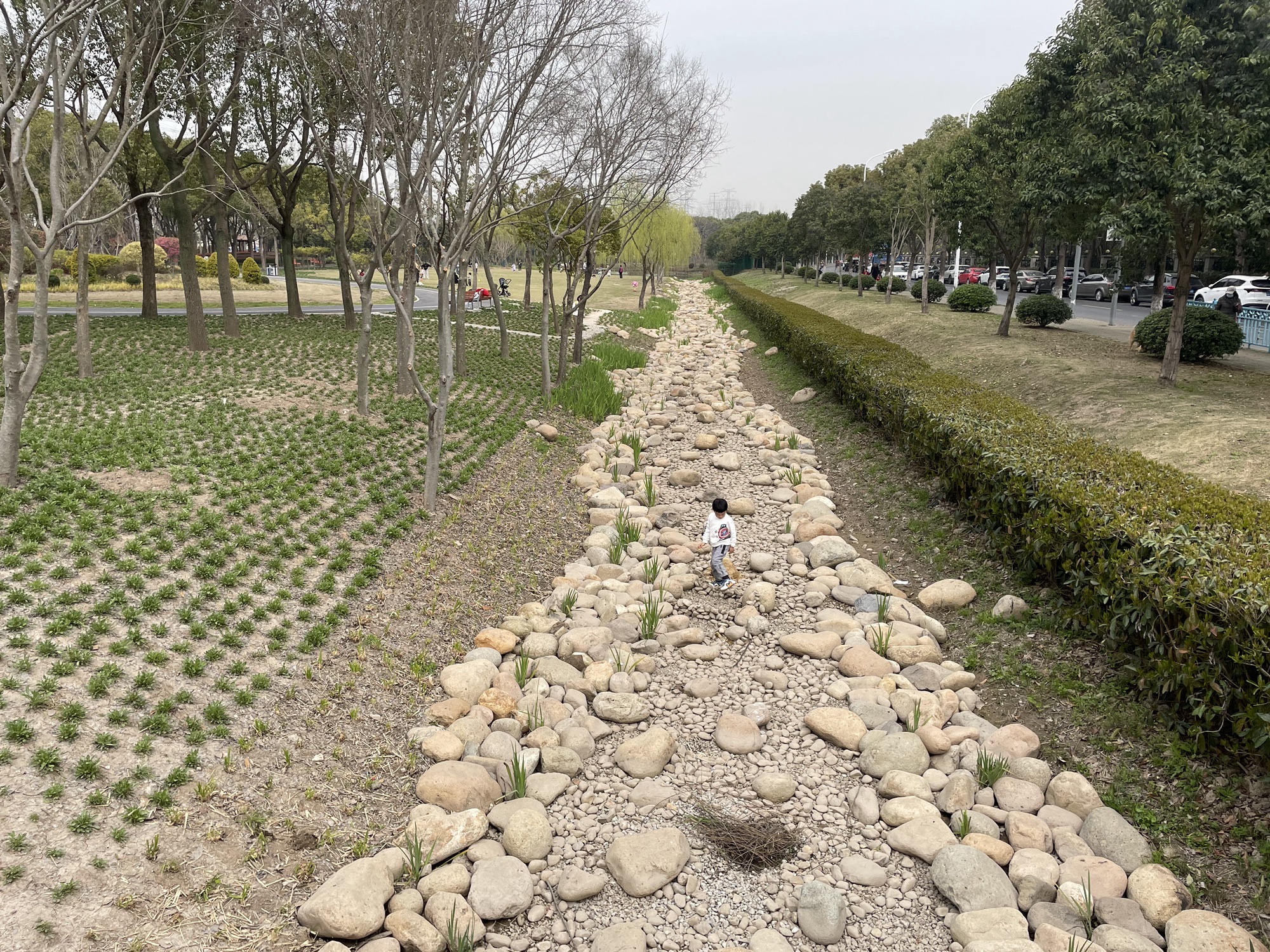 唐镇公园旅行图片 2