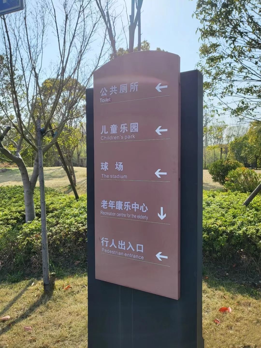唐镇公园旅行图片 1