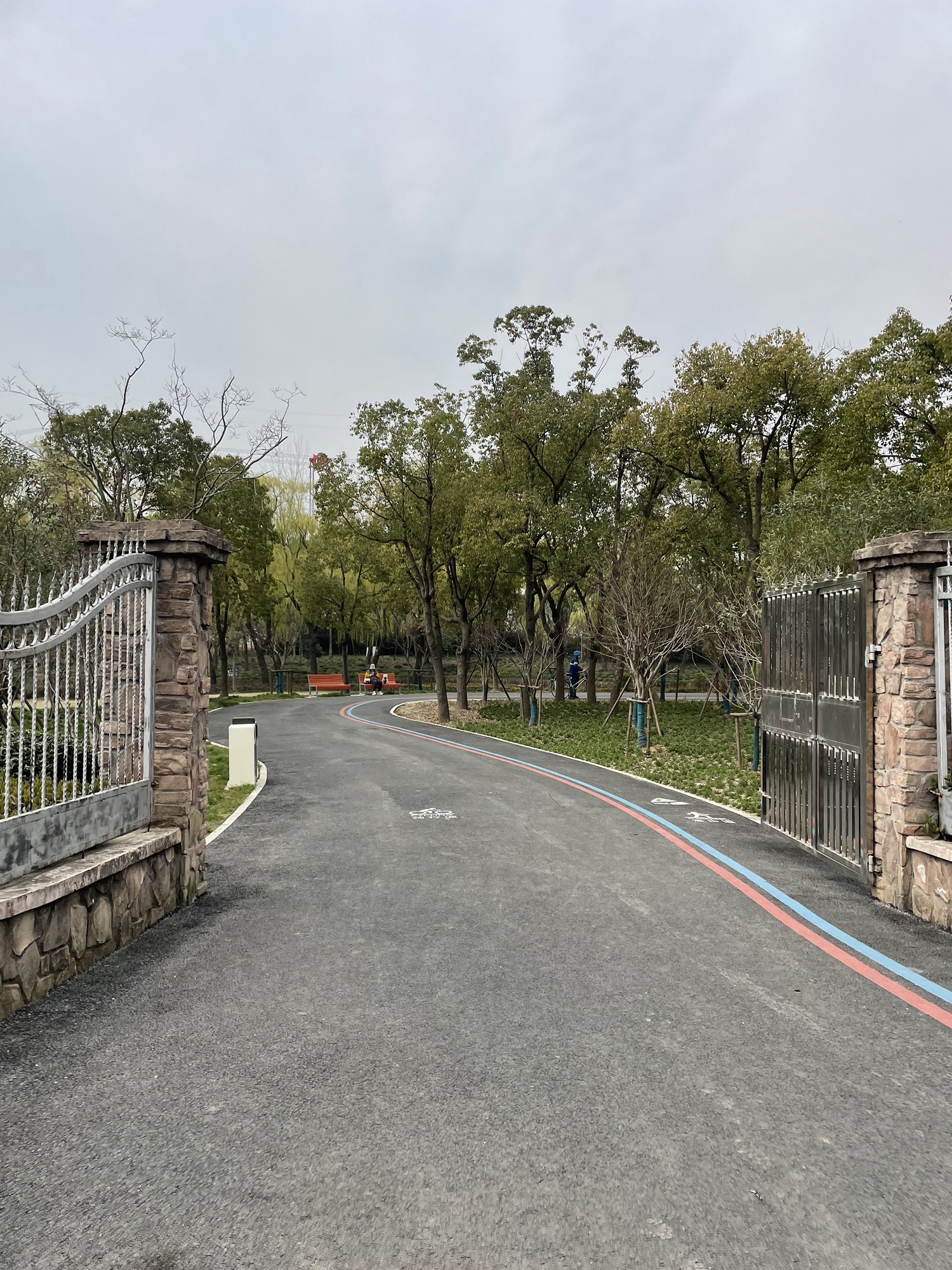 唐镇公园旅行图片 1