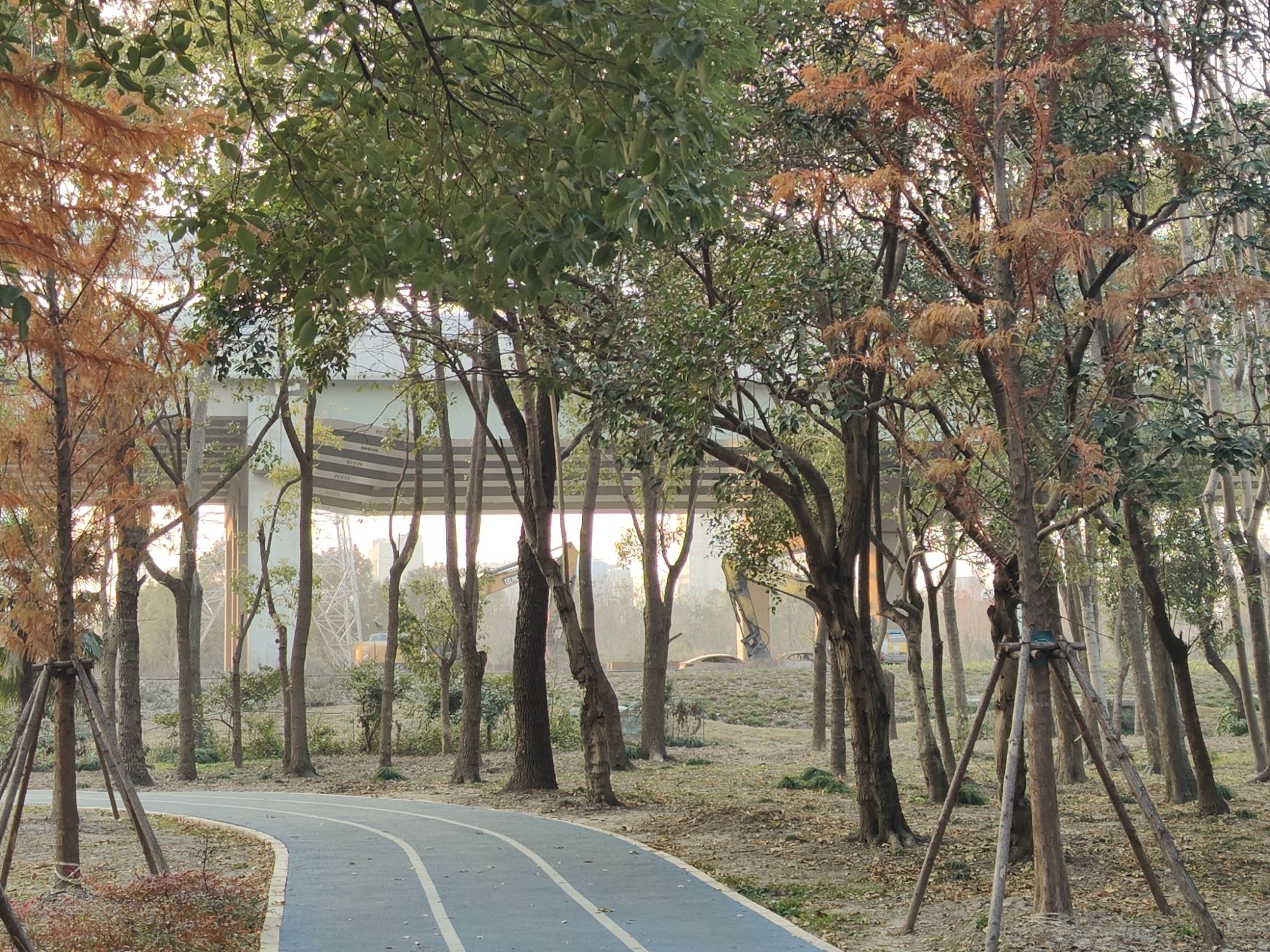 唐镇公园旅行图片 3