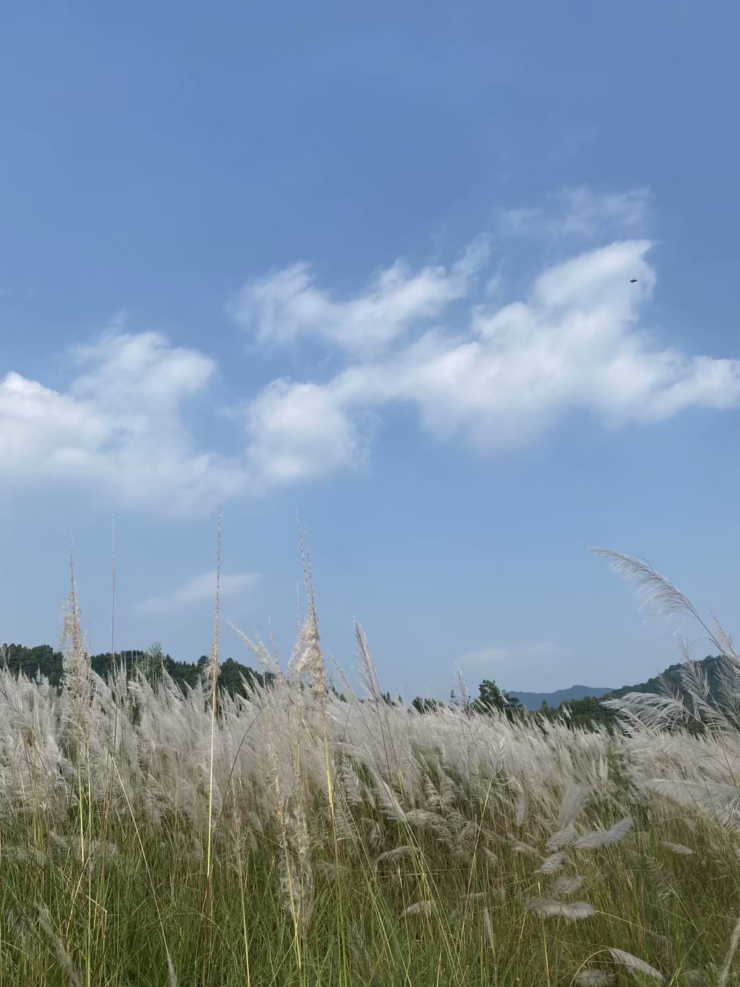 龙门山湔江河谷生态旅游区旅行图片 1