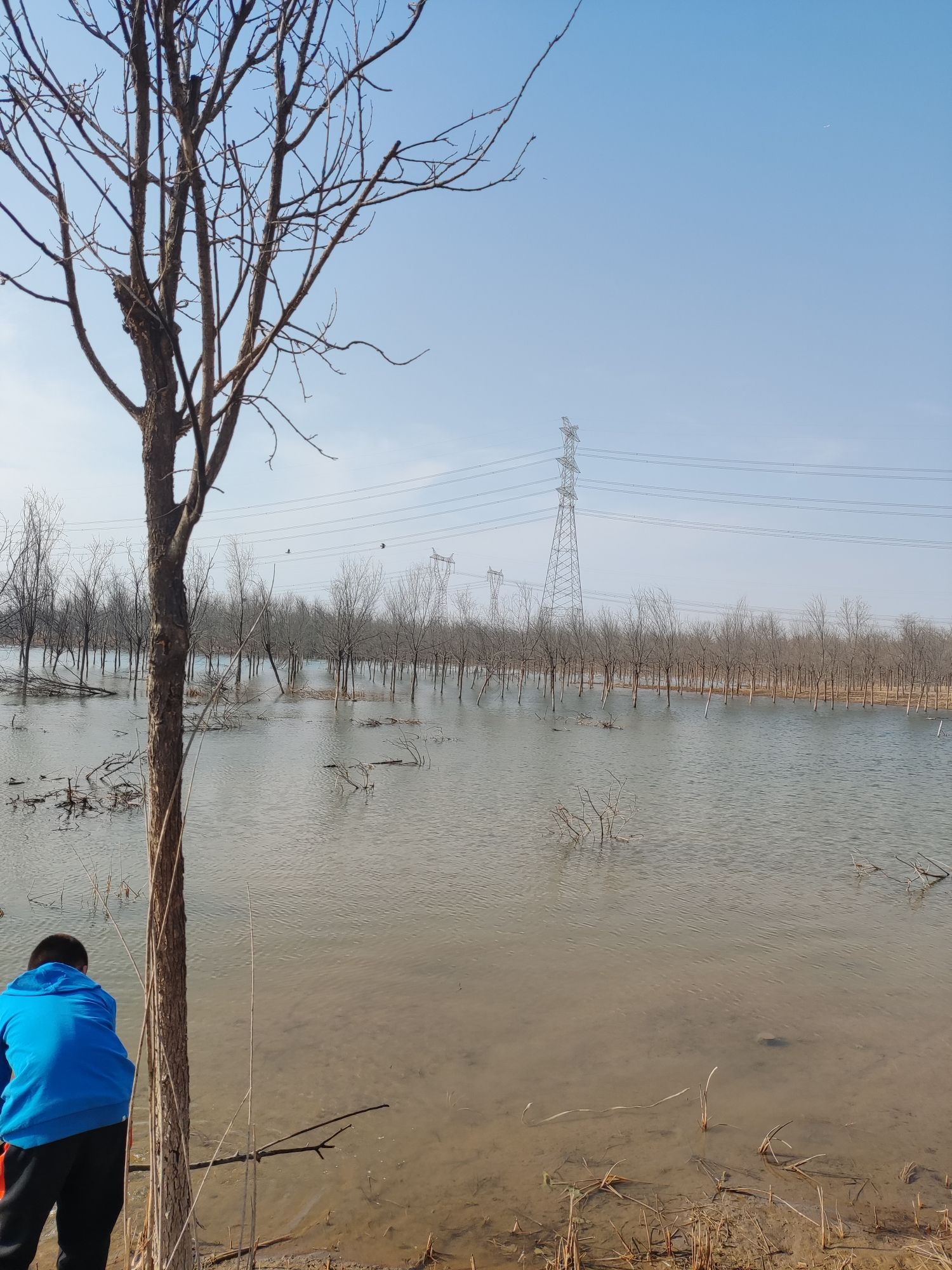 北臧村镇郊野公园旅行图片 2