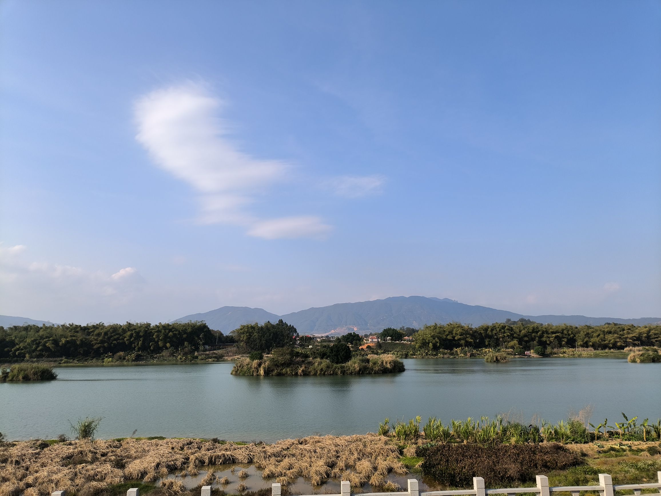 忆芗公园旅行图片 1