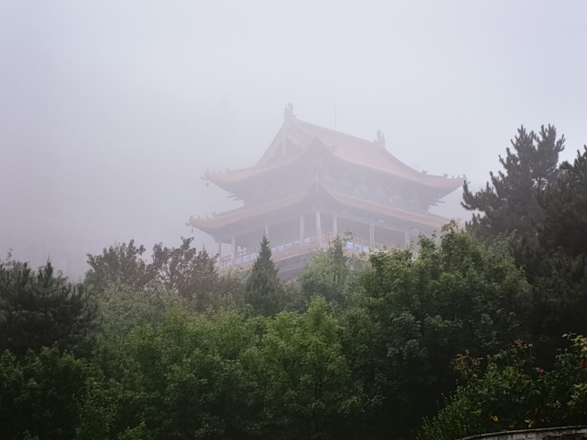 南山公园旅行图片 2