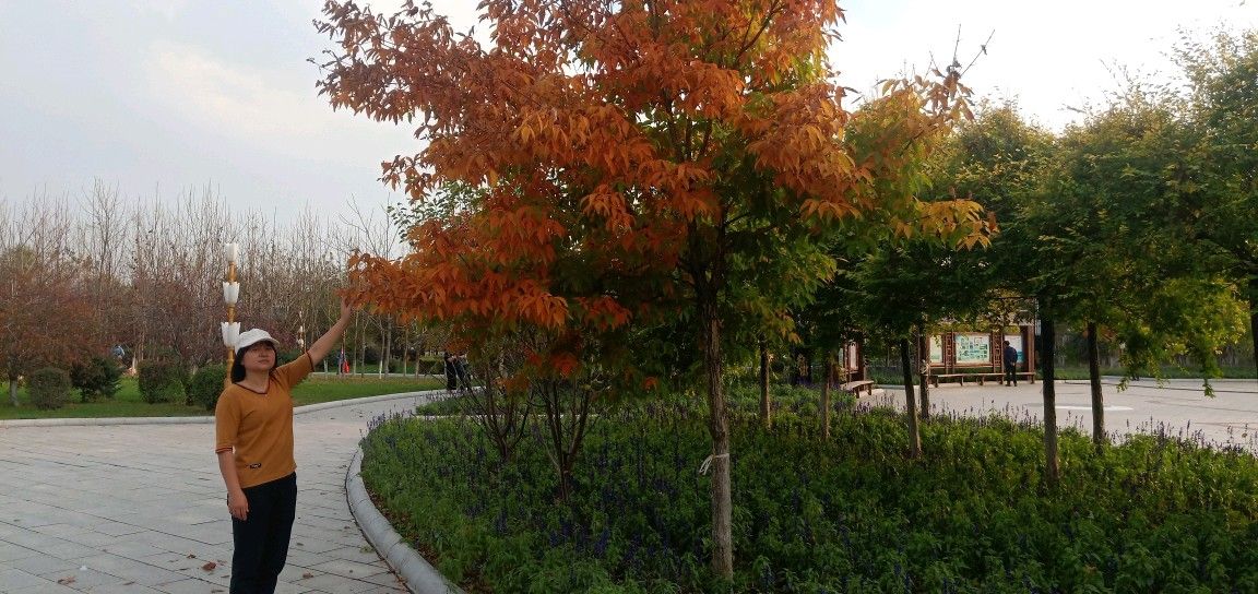 廖公广场旅行图片 1