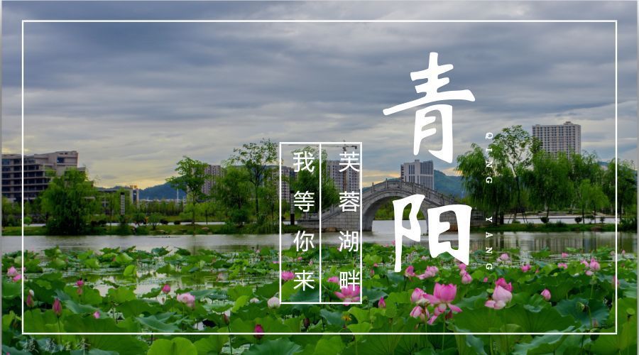 芙蓉湖公园旅行图片 3