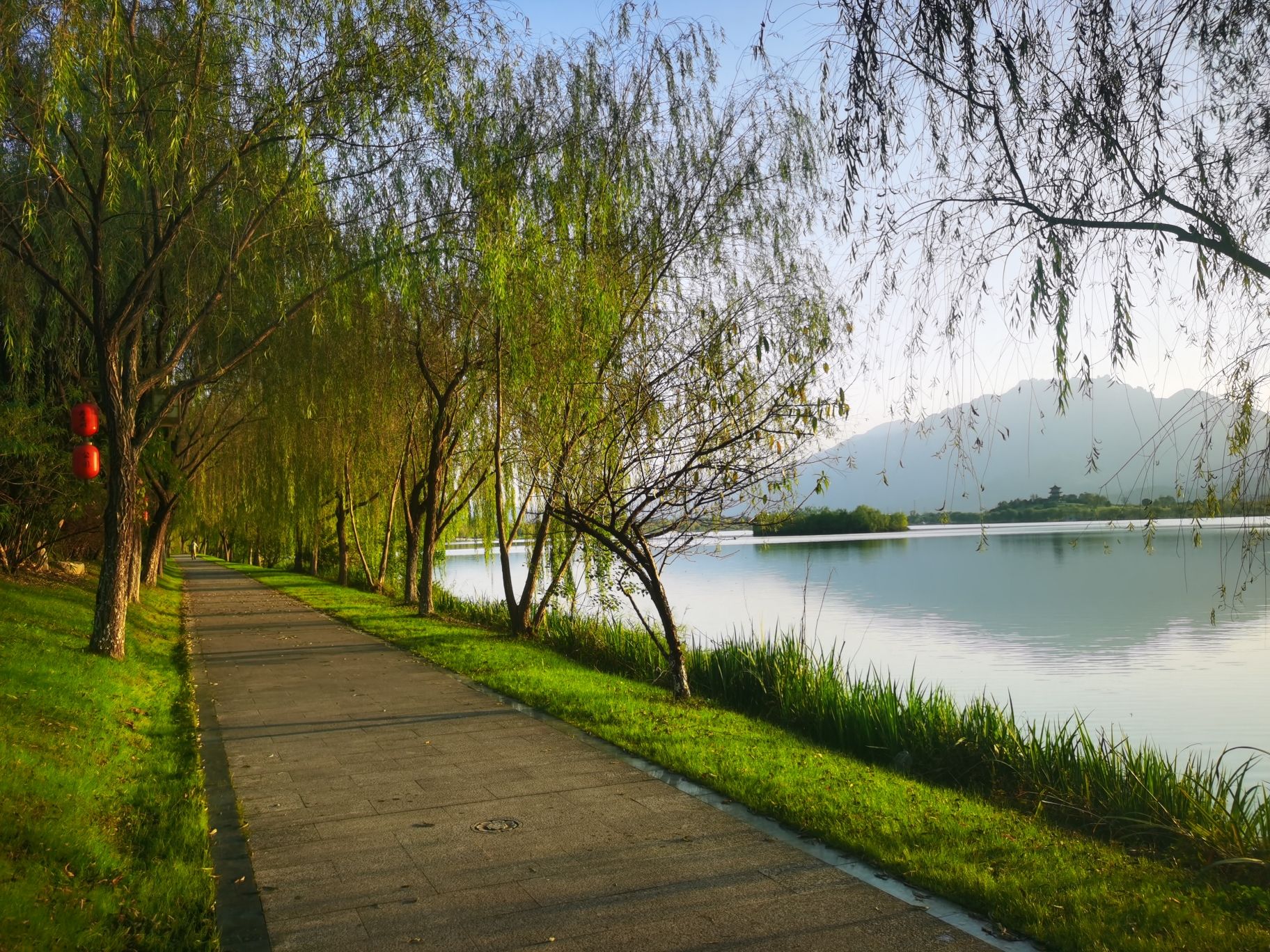 芙蓉湖公园旅行图片 3