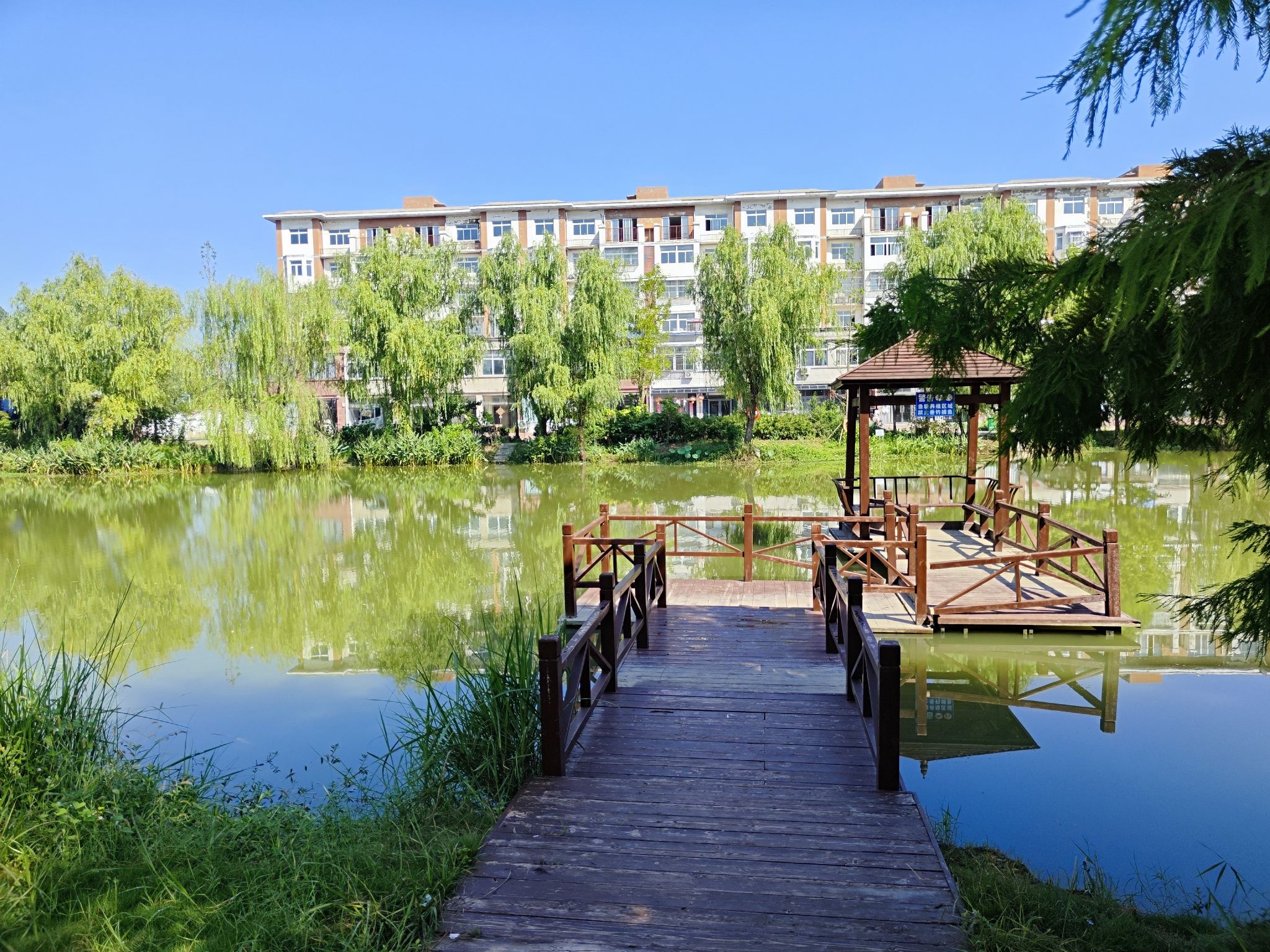 桥头公园旅行图片 1
